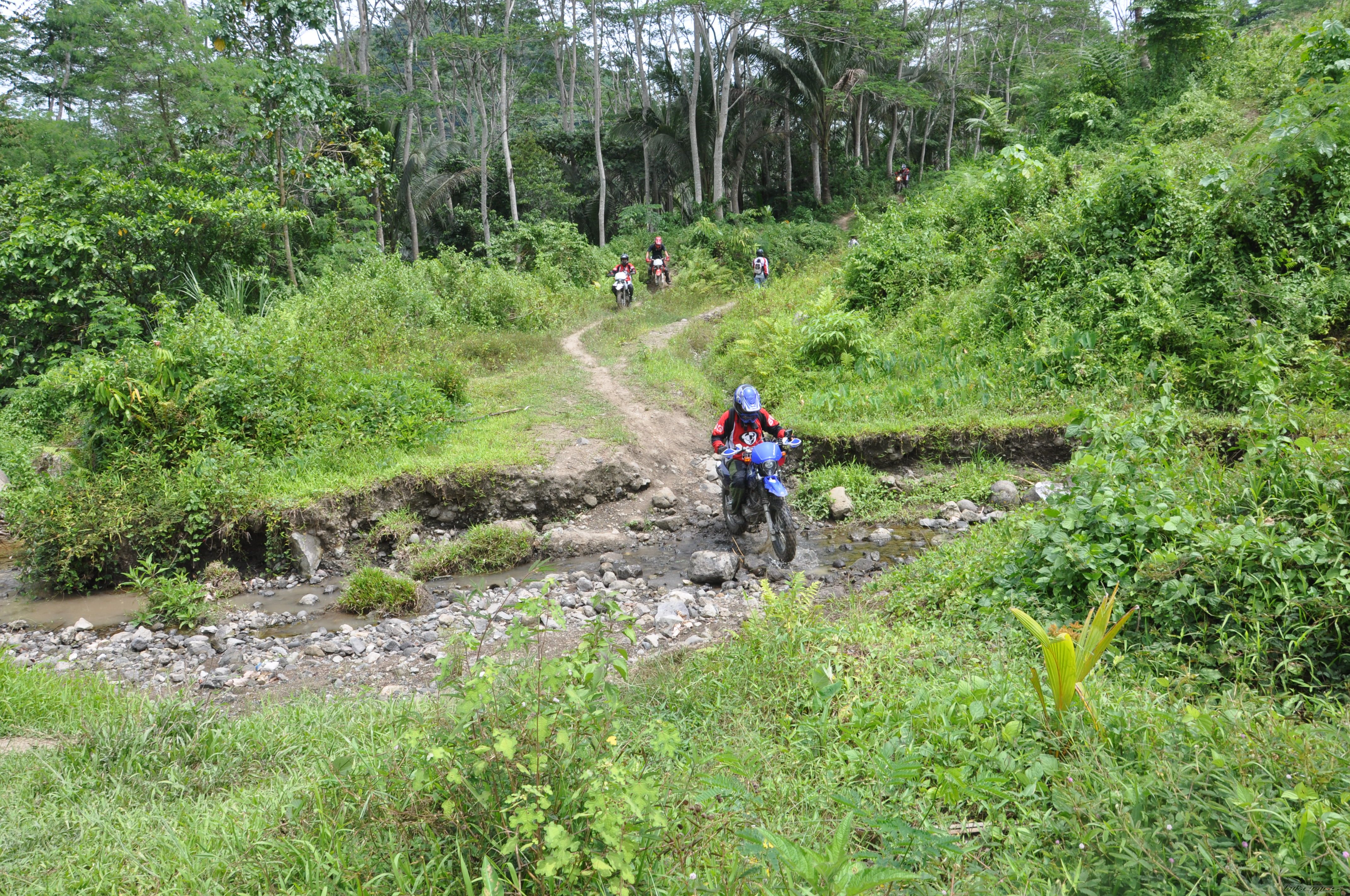 Bike Photo 1684361