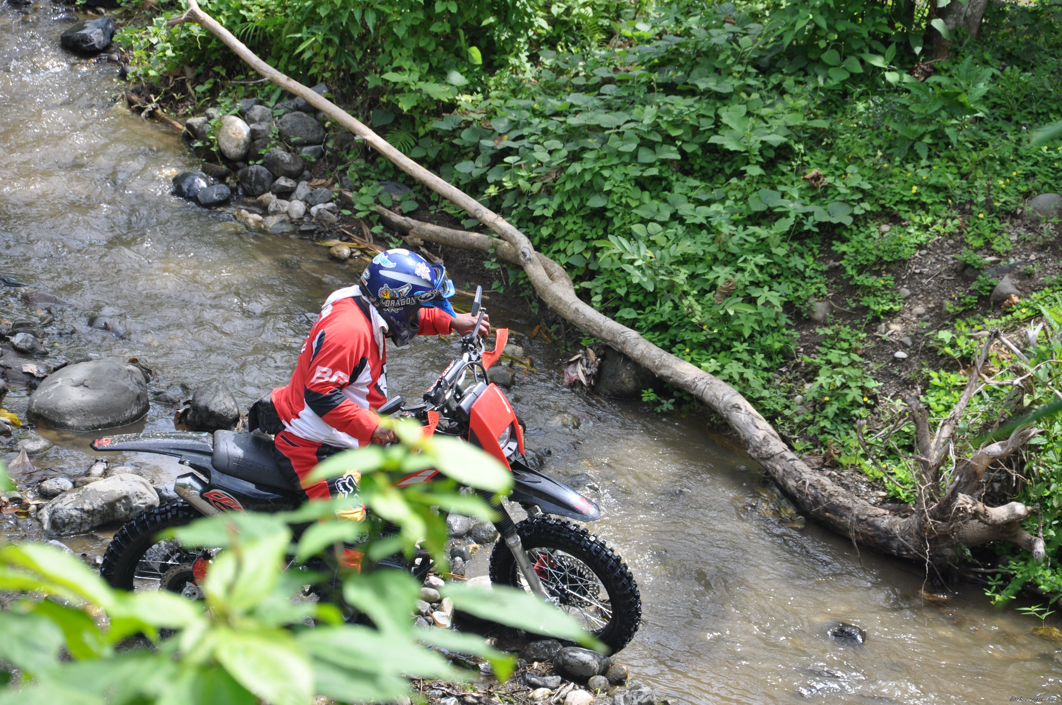 Bike Photo 1684365