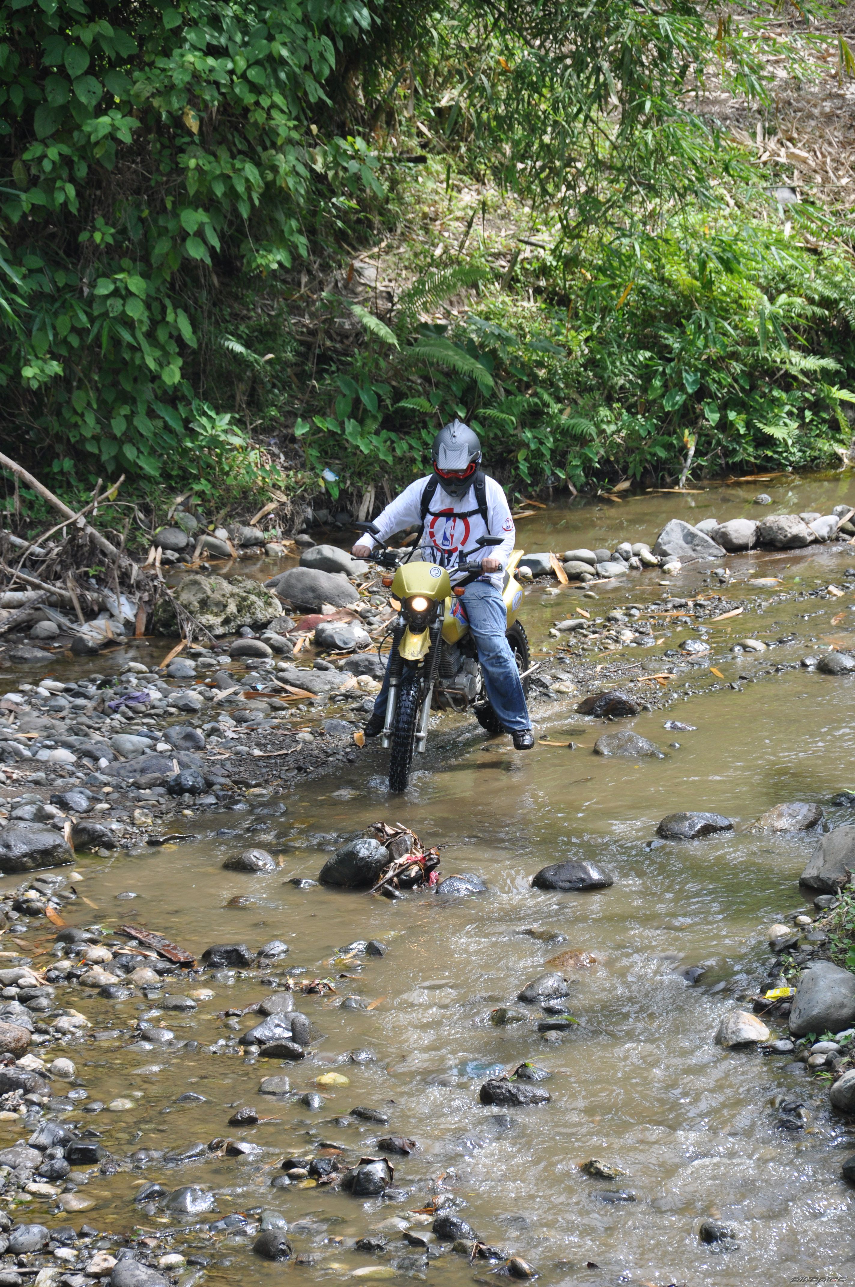 Bike Photo 1684366