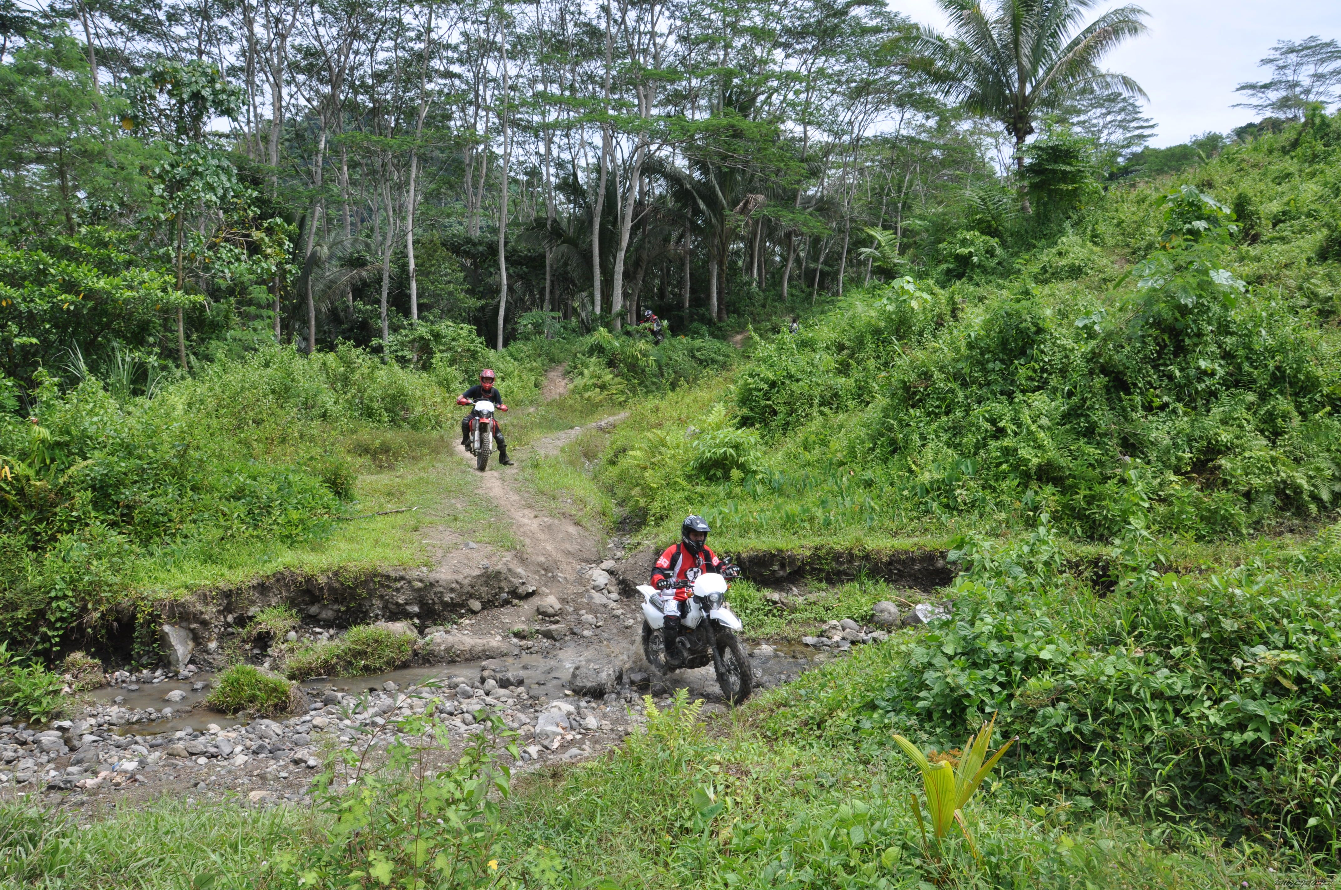 Bike Photo 1684376