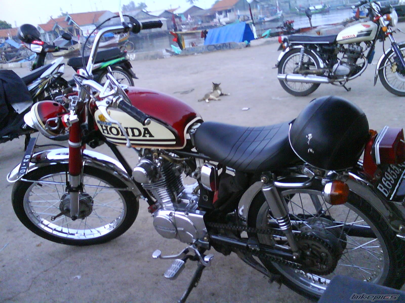 Photo 1684389