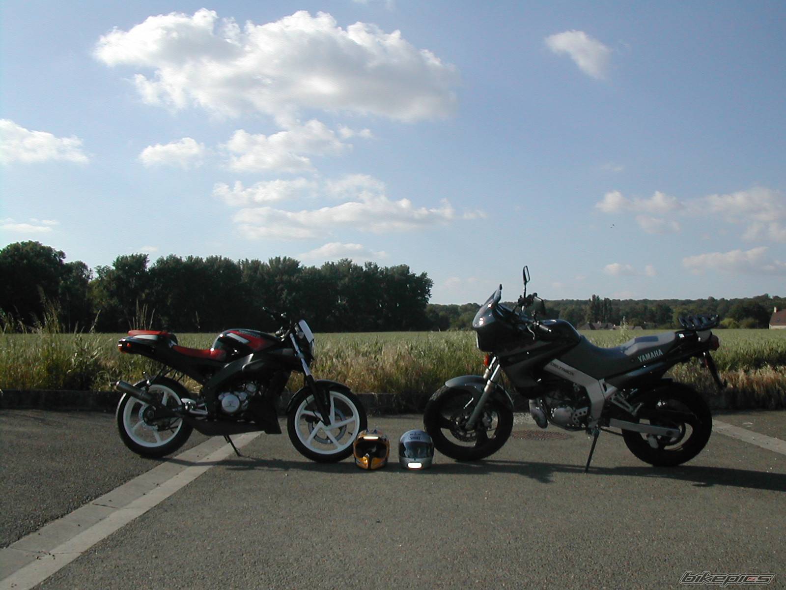 Photo 168451