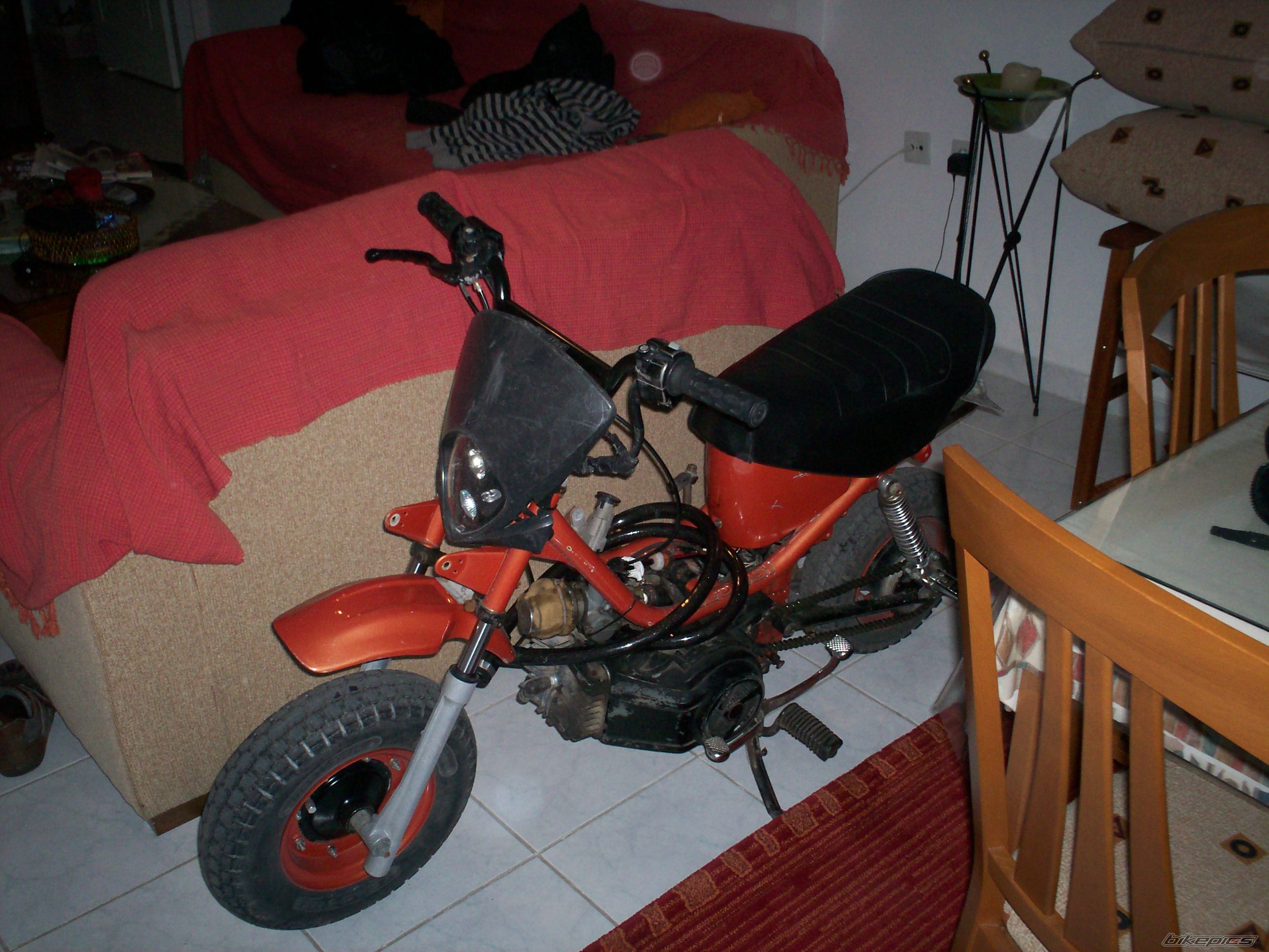 Photo 1684511