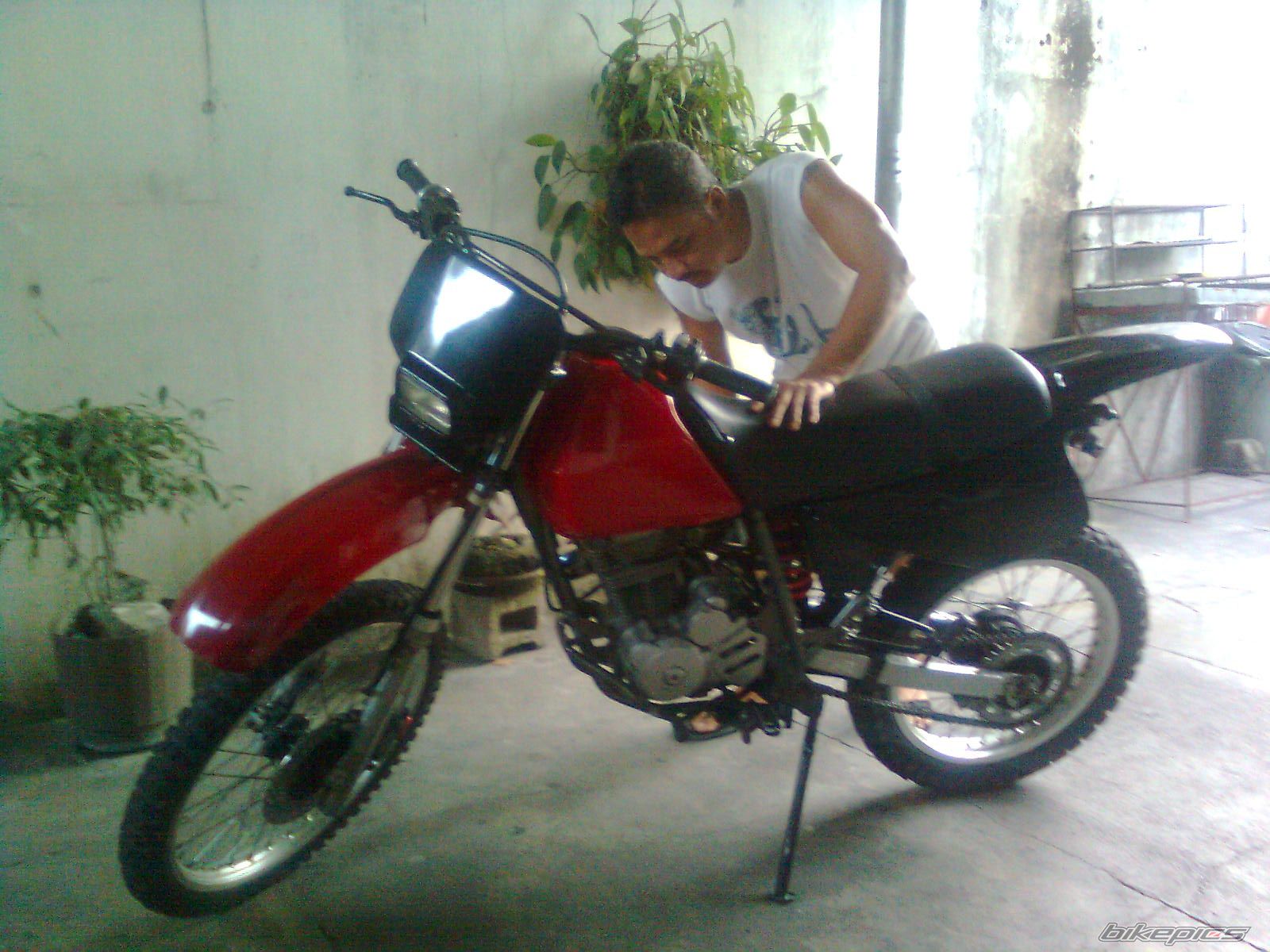 Bike Photo 1684526