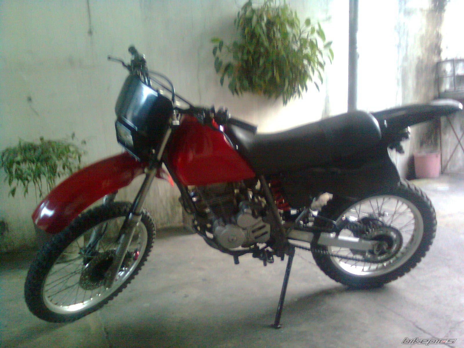 Photo 1684527