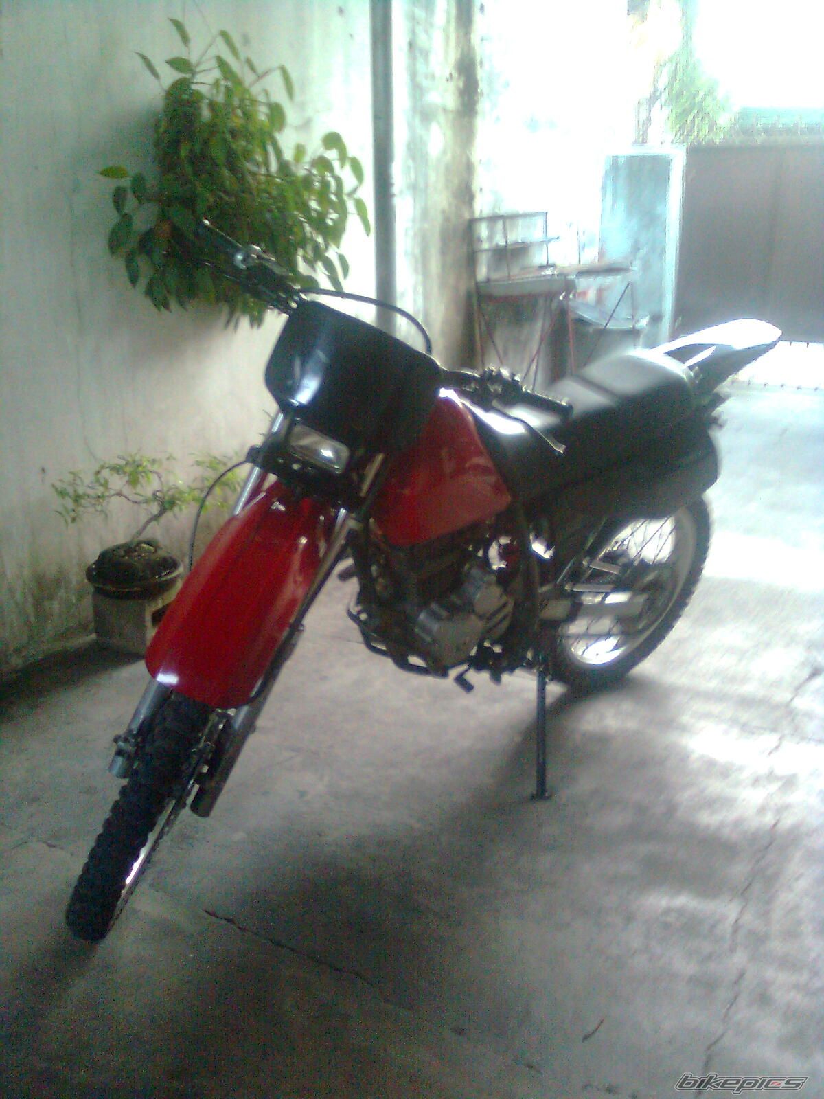 Photo 1684532