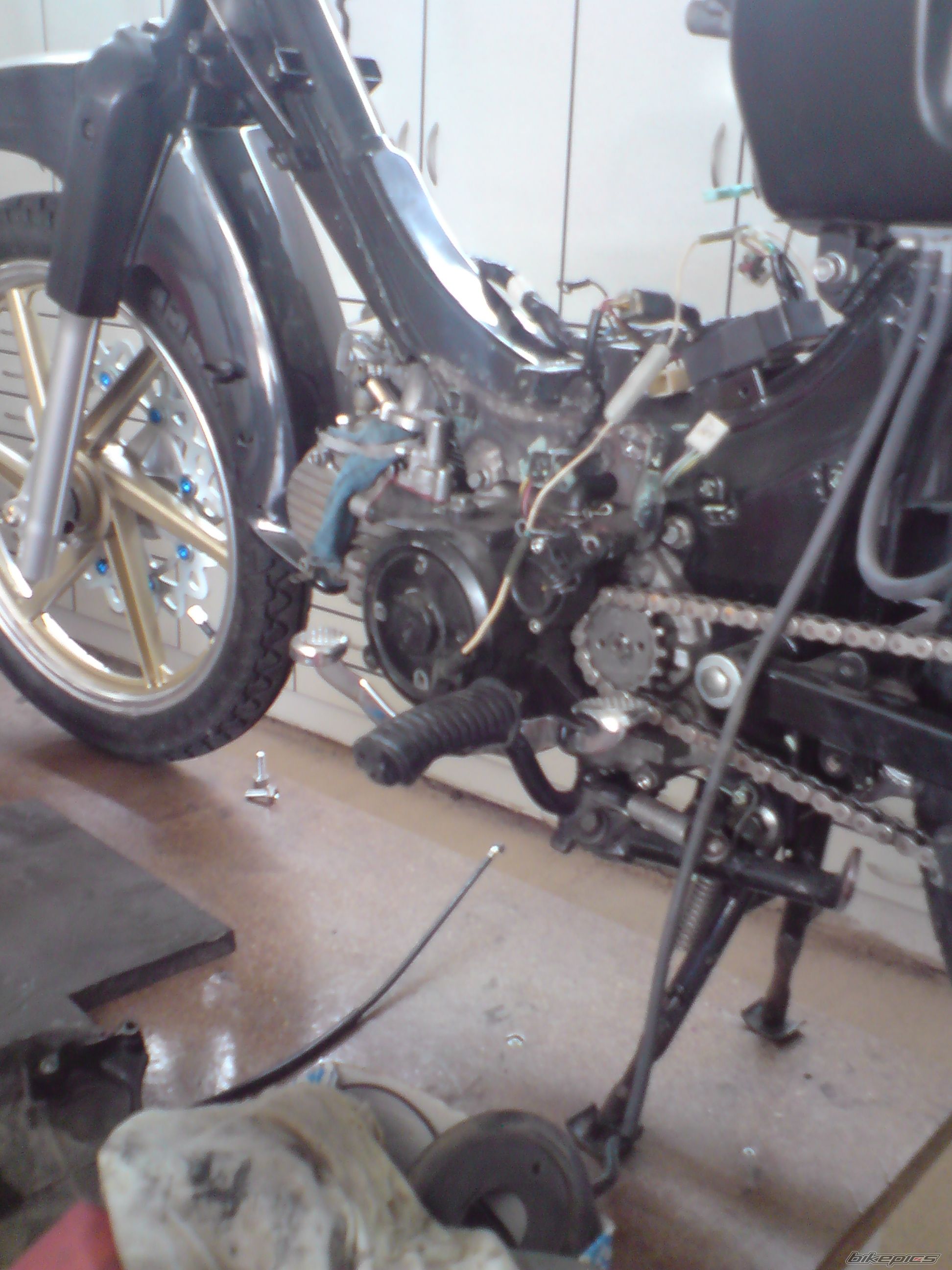Photo 1684544