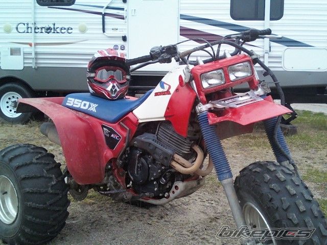 Photo 1684707