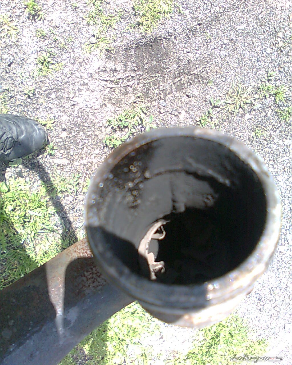 Photo 1684744