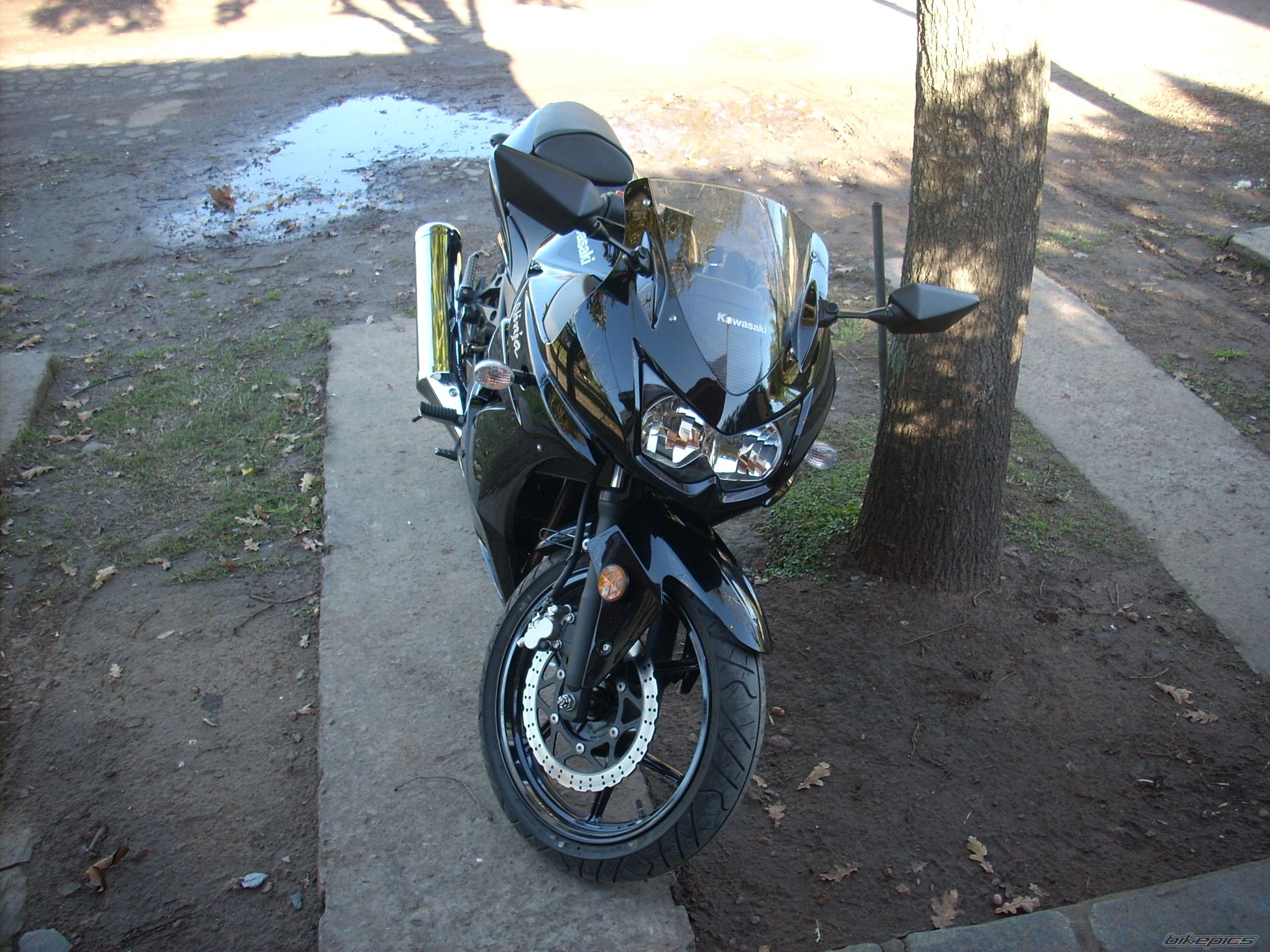 Photo 1684755