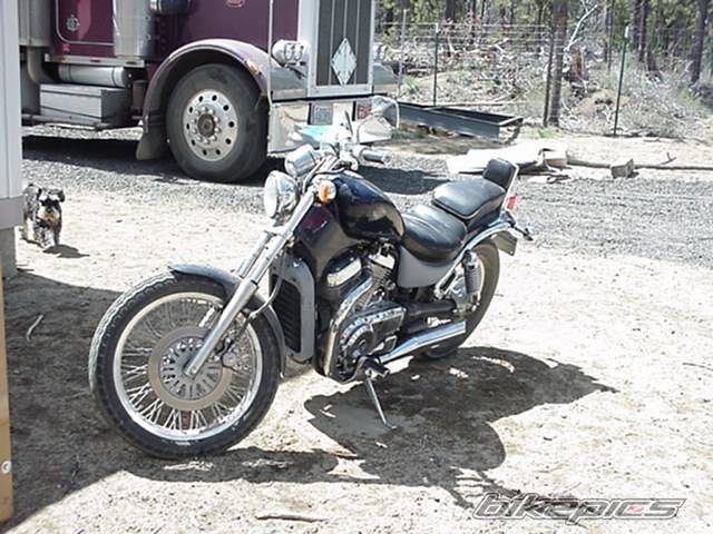 Photo 16848