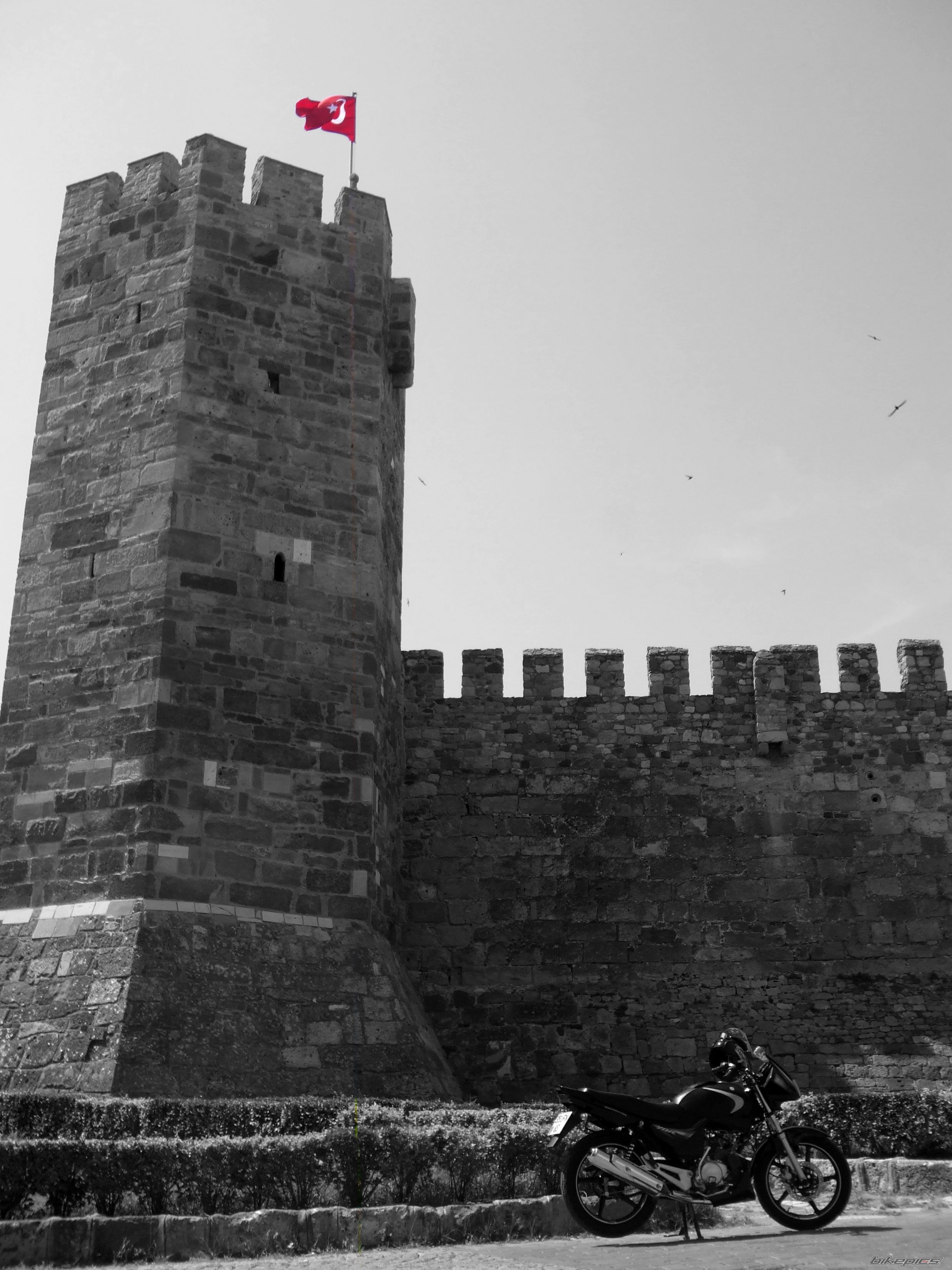 Photo 1684807