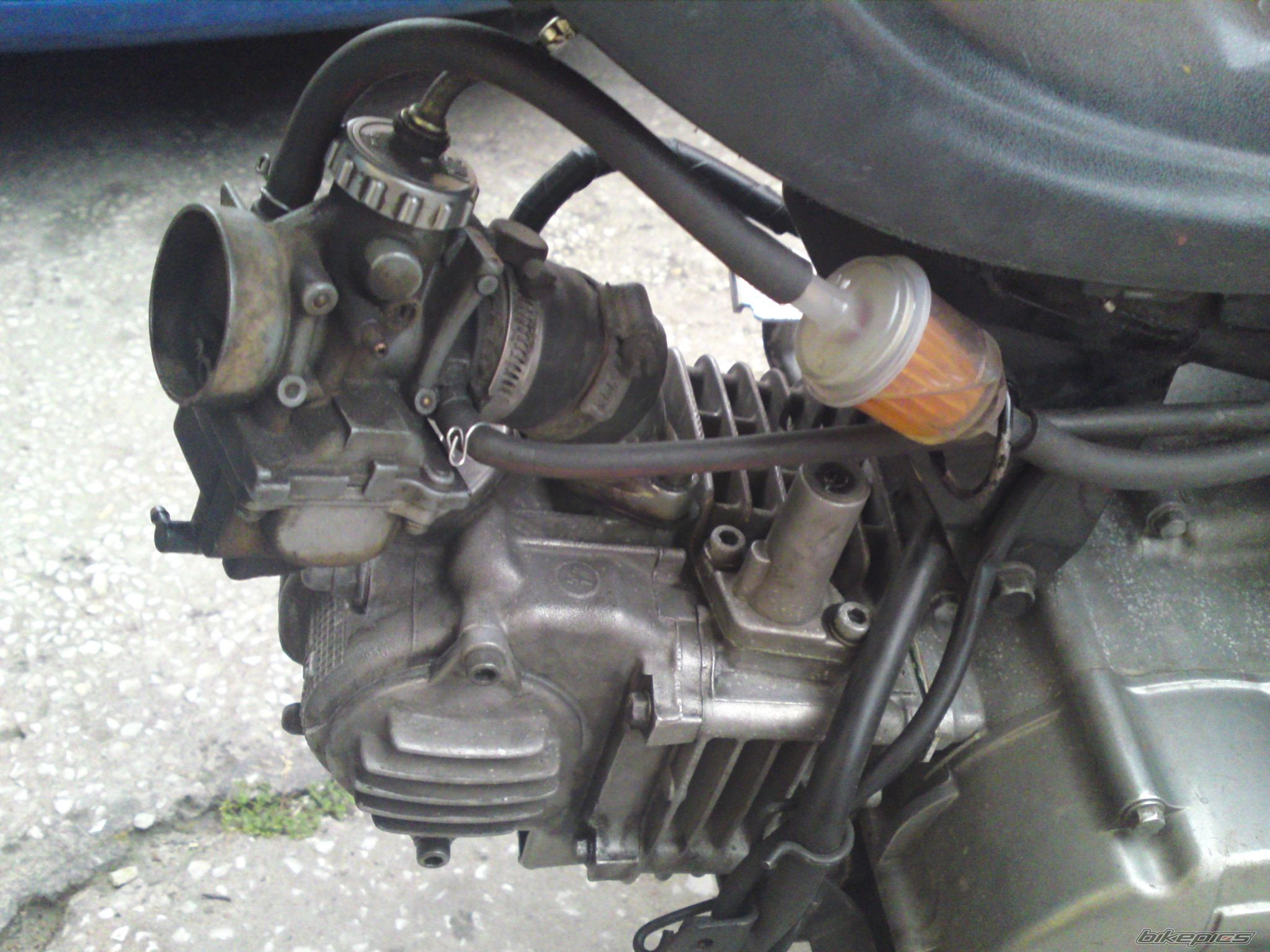 Photo 1684909