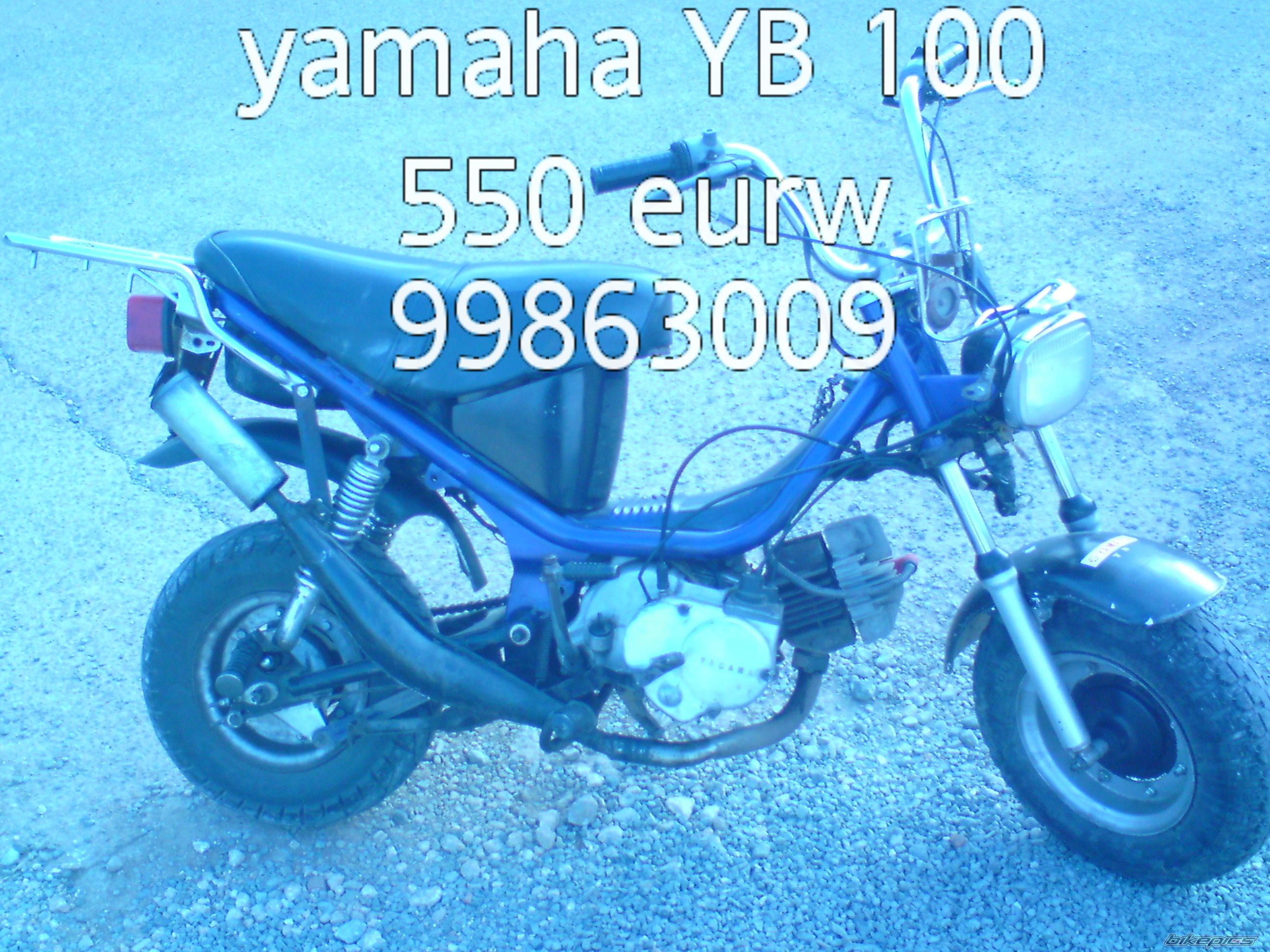 Photo 1684919