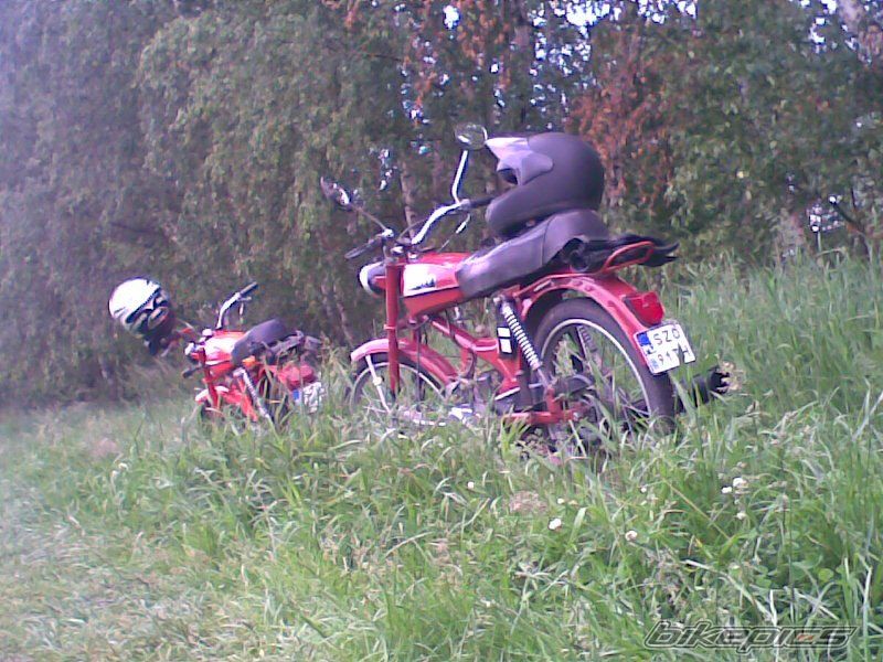 Photo 1684936