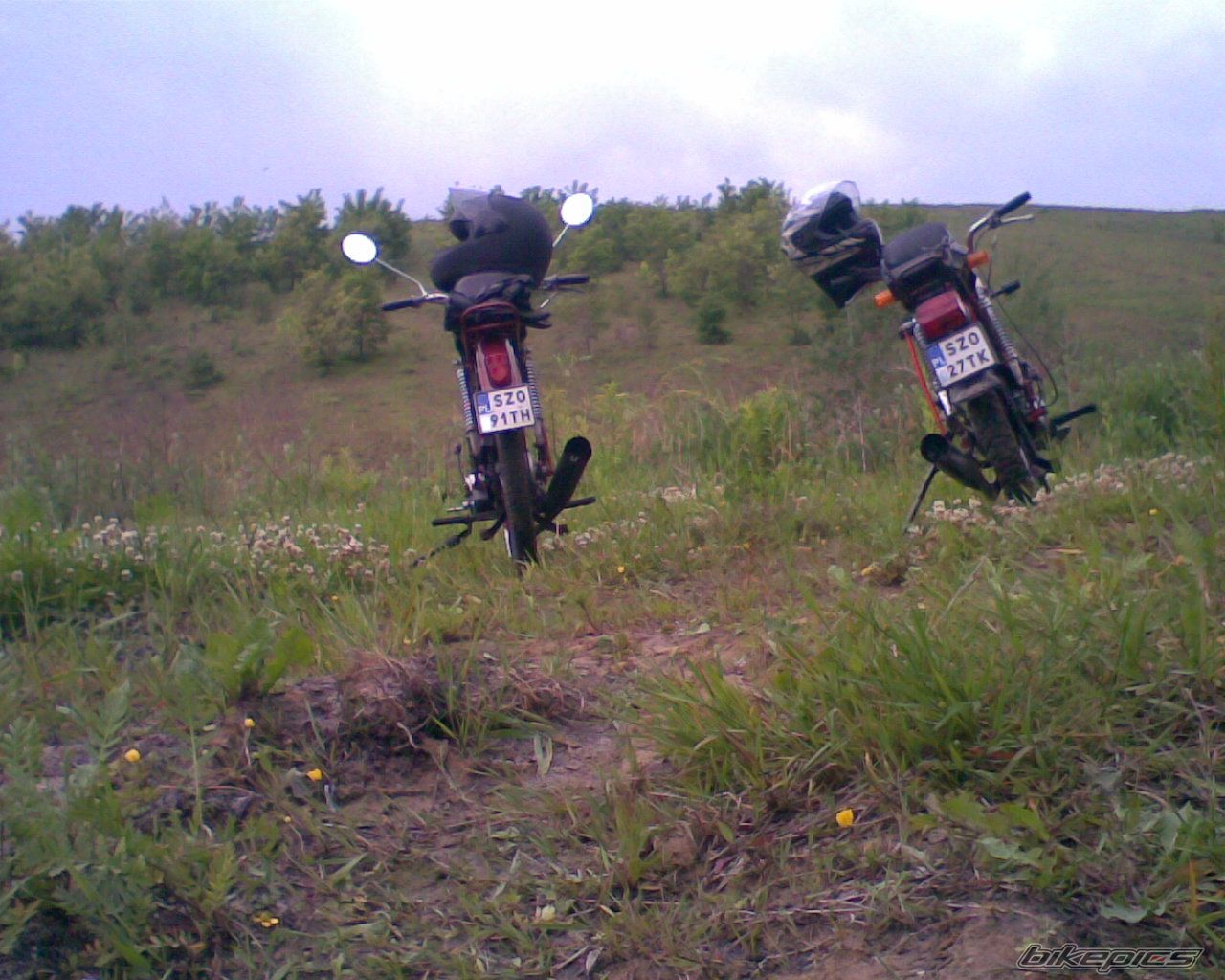 Photo 1684939