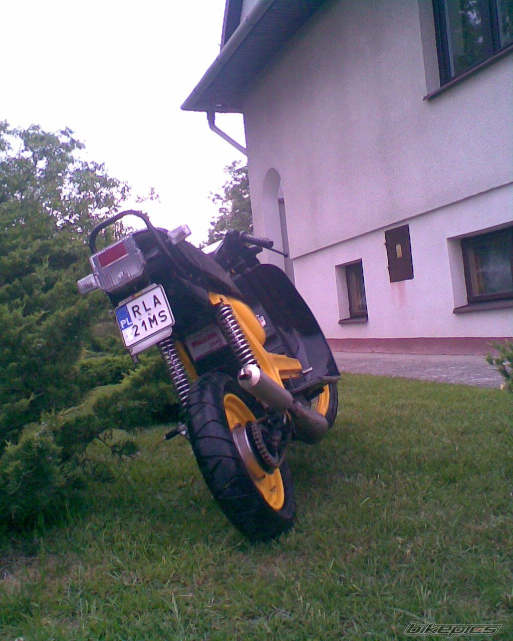 Photo 1685002