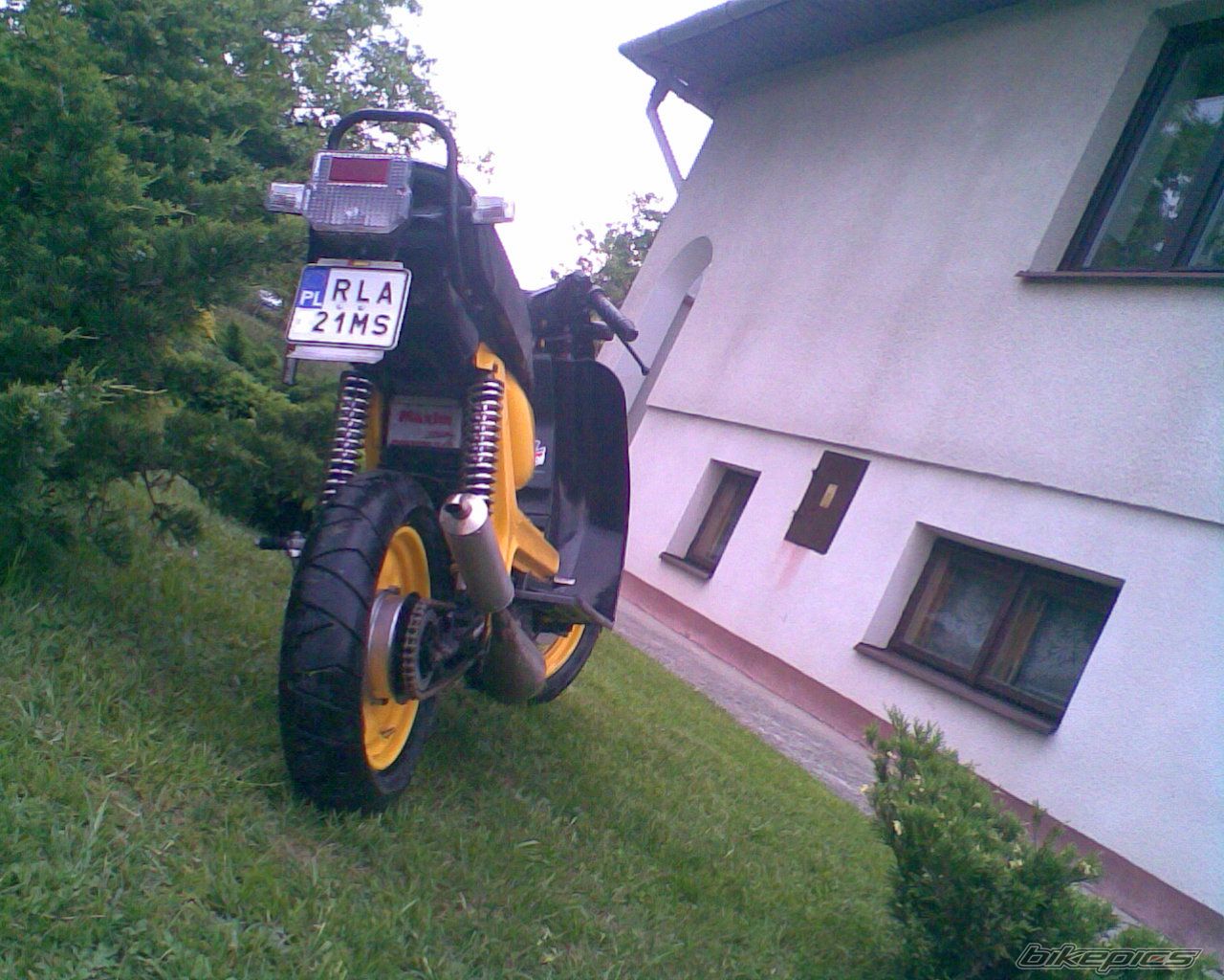 Photo 1685003