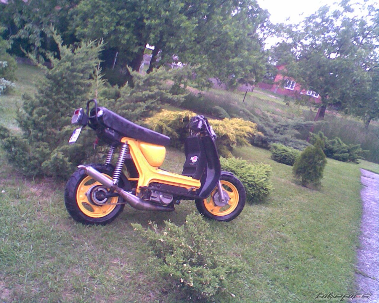 Photo 1685005