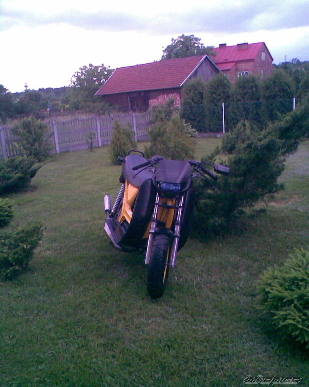 Photo 1685007