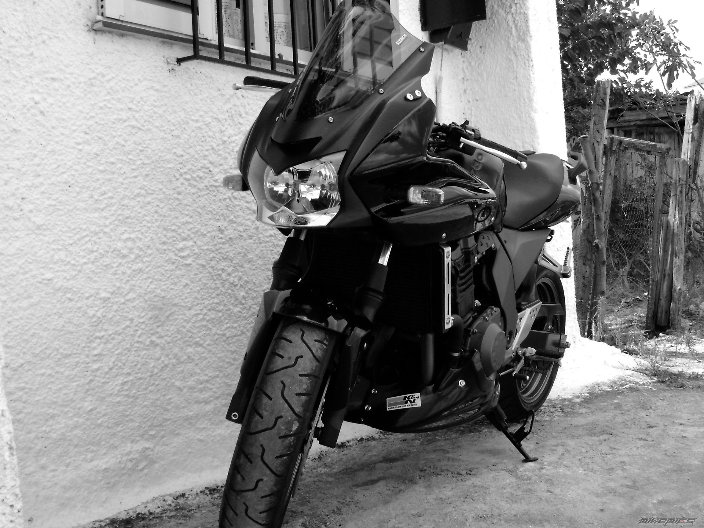 Photo 1685048