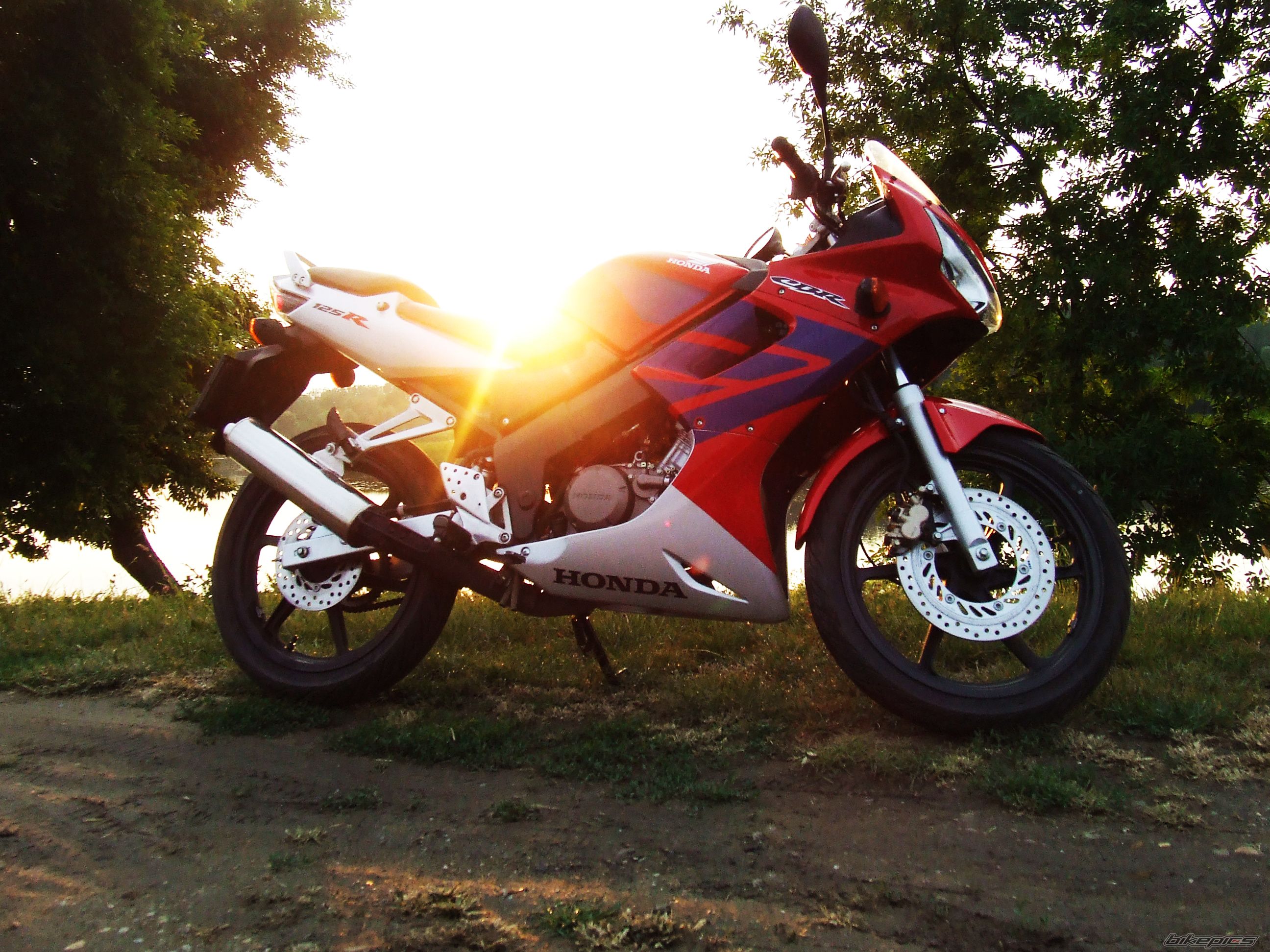 Photo 1685191