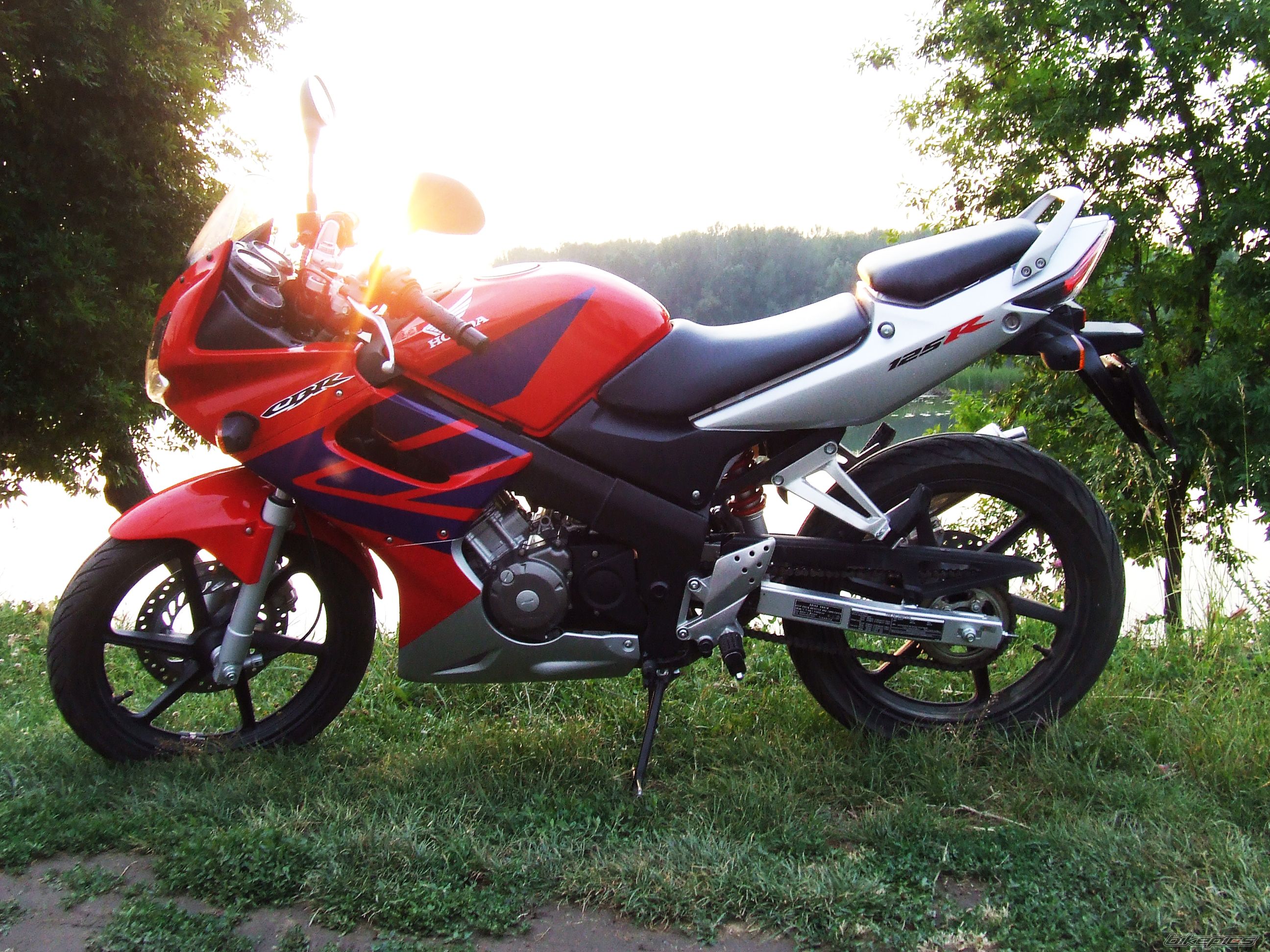 Photo 1685196