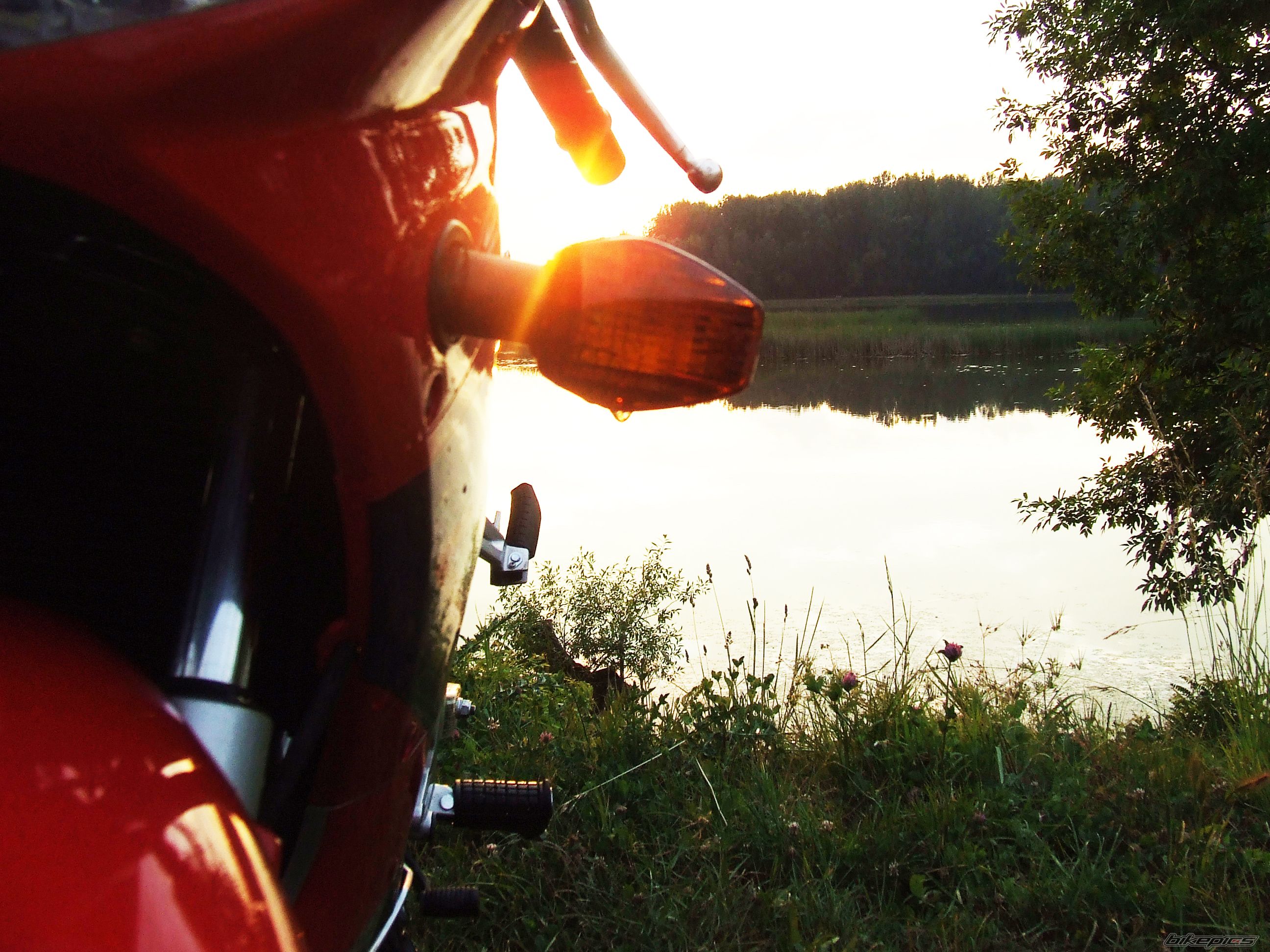 Photo 1685198