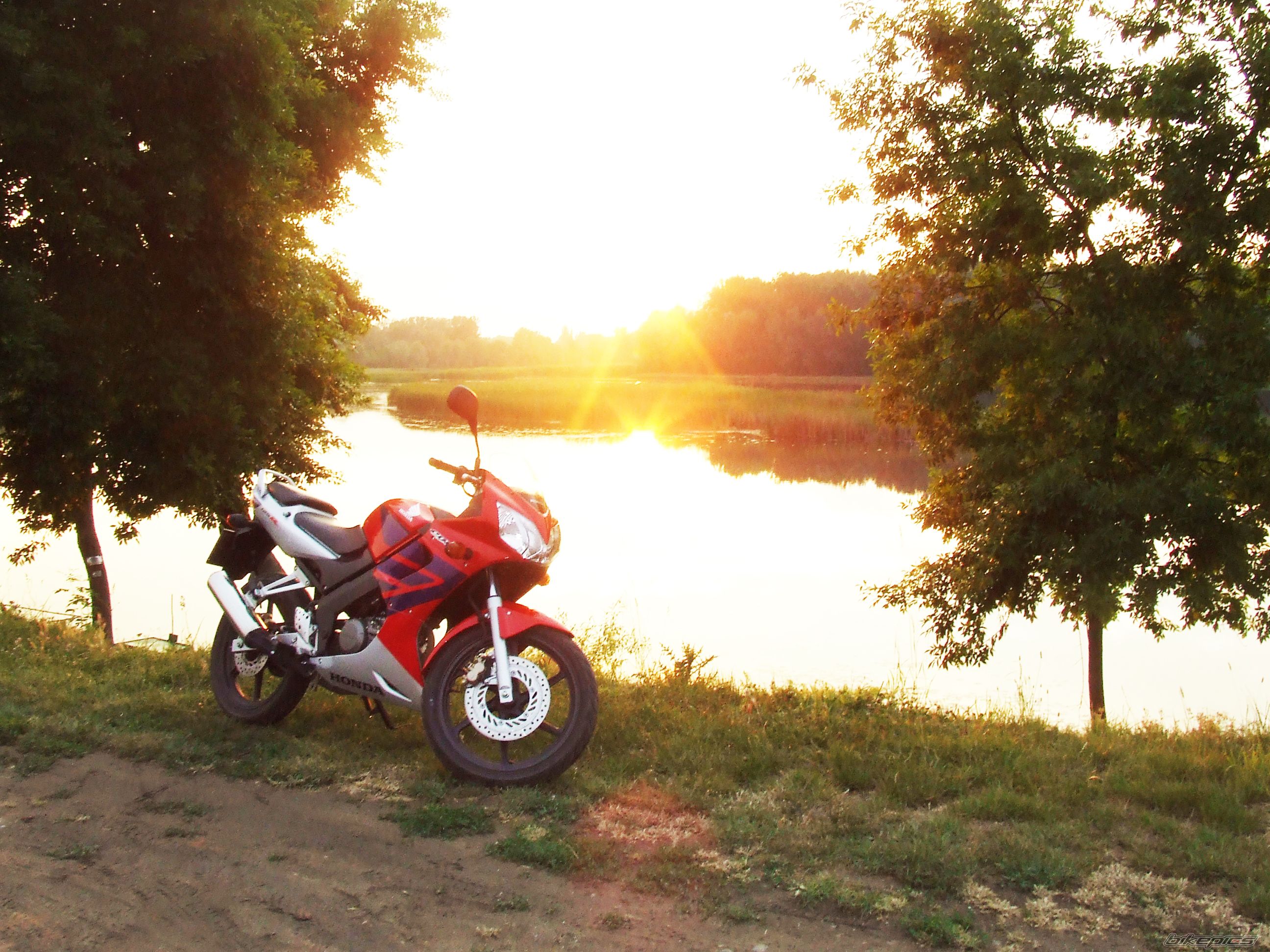 Photo 1685201