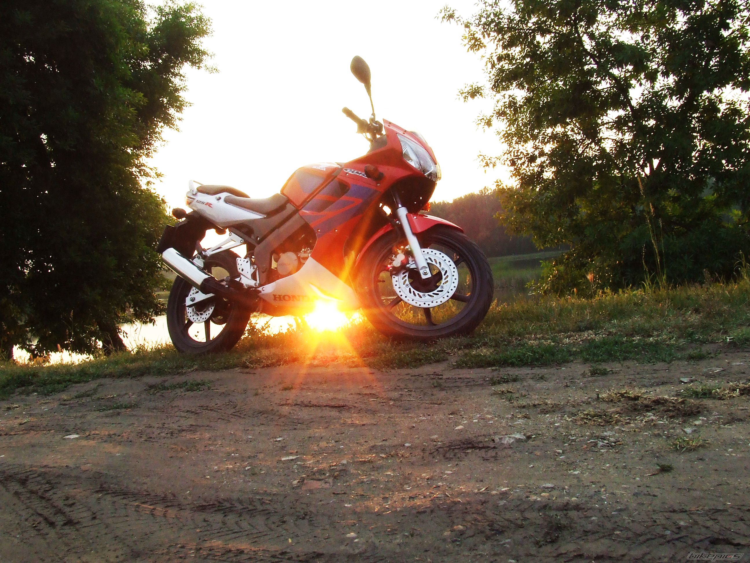 Photo 1685204
