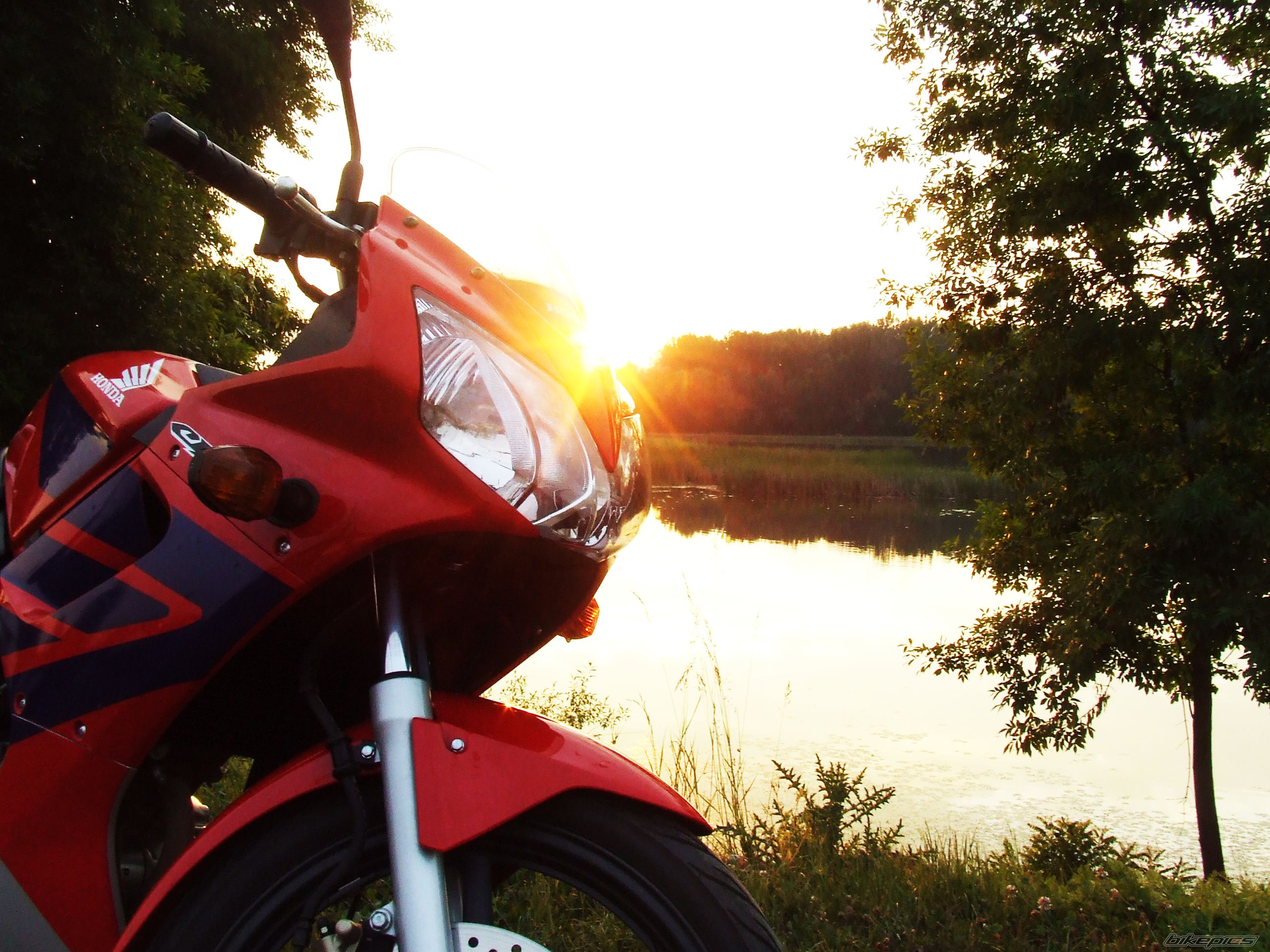 Photo 1685206