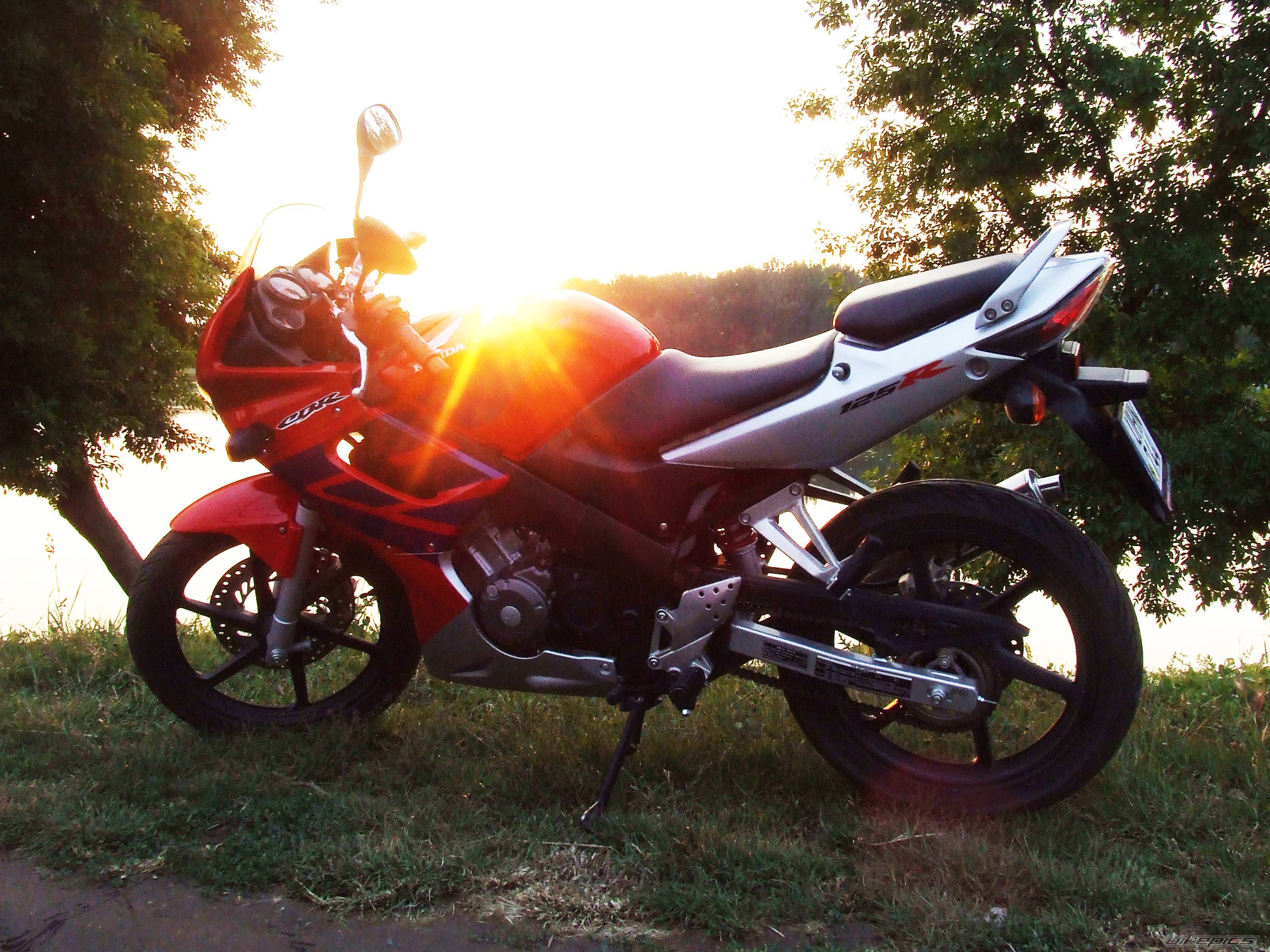 Photo 1685212