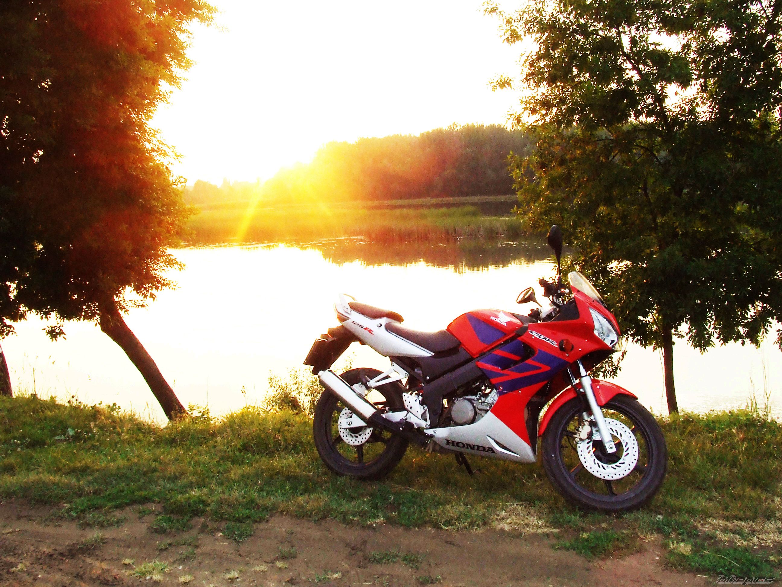 Photo 1685213