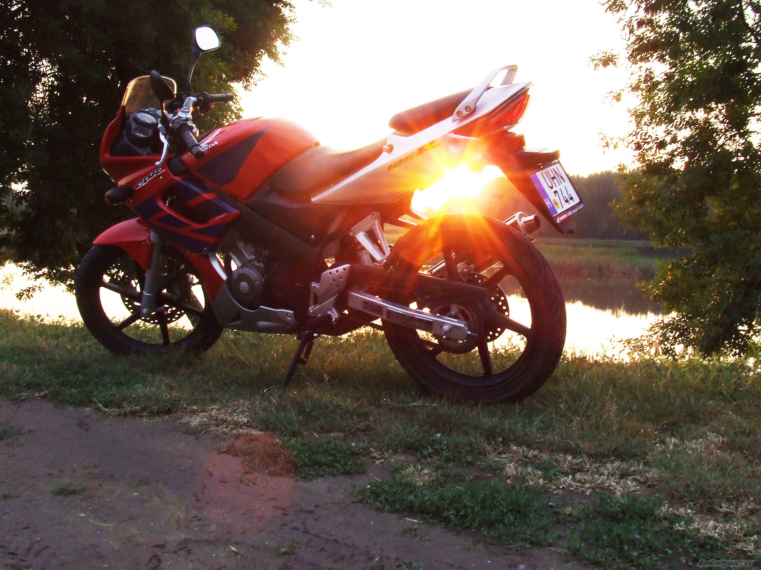 Photo 1685238