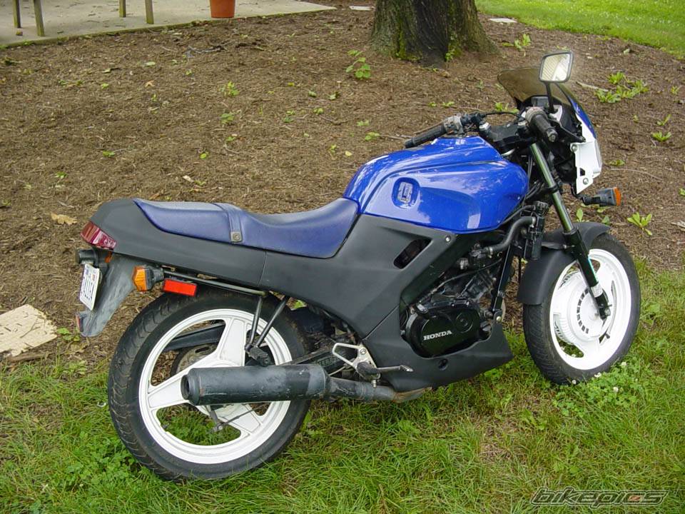 Photo 168534