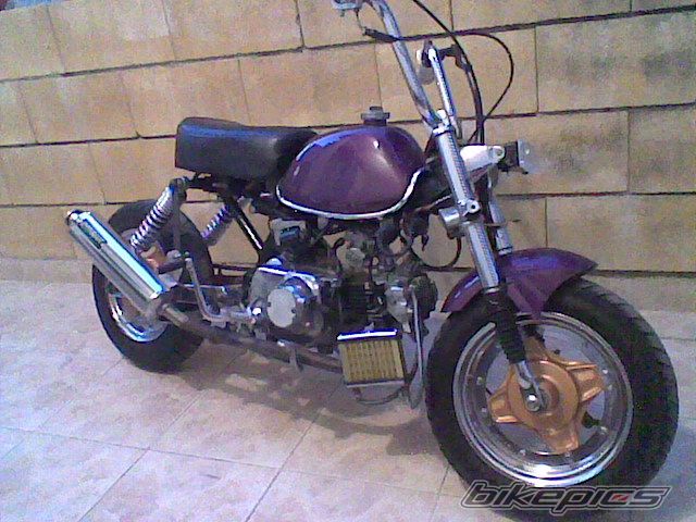 Photo 1685358