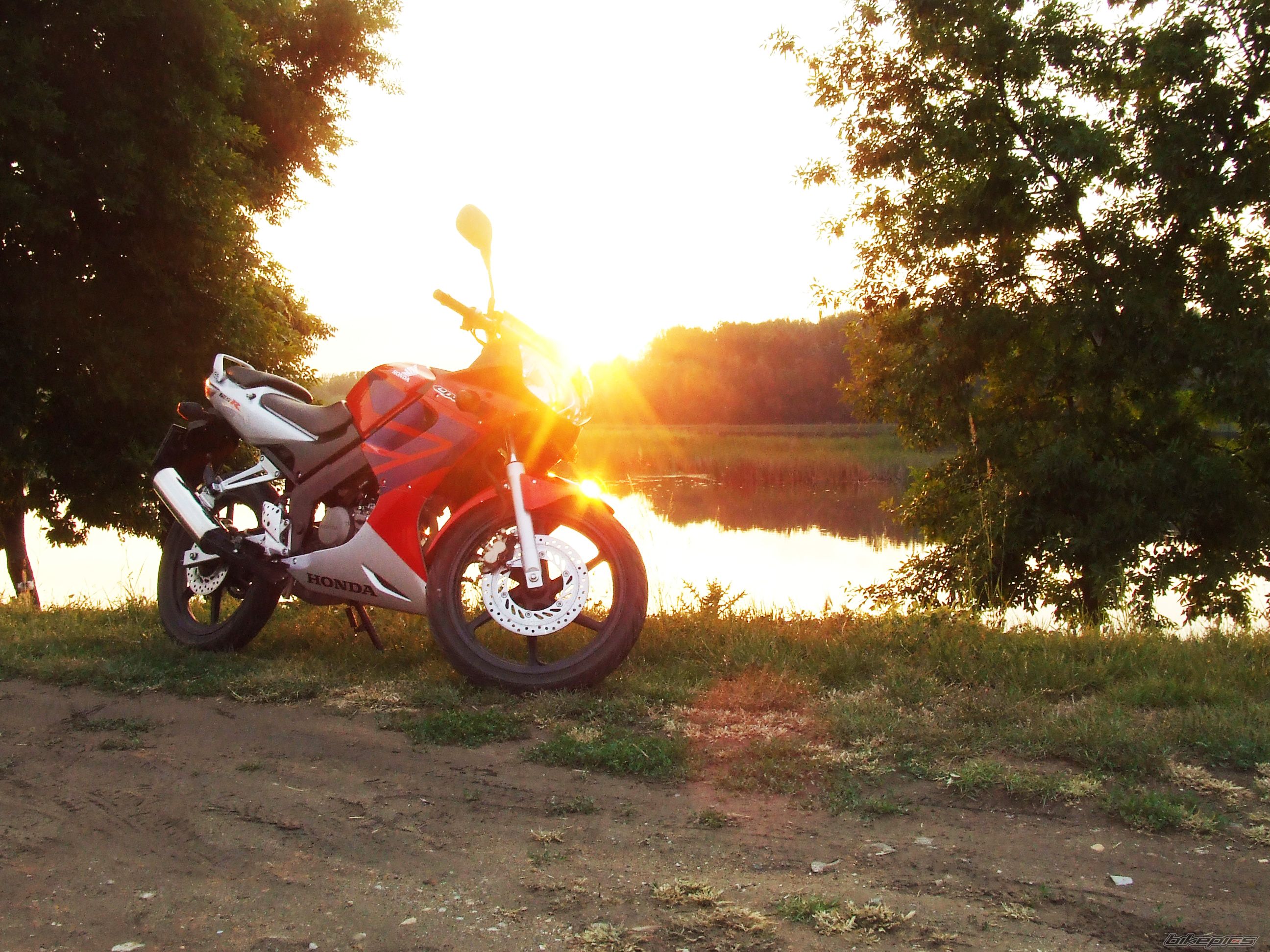 Photo 1685398