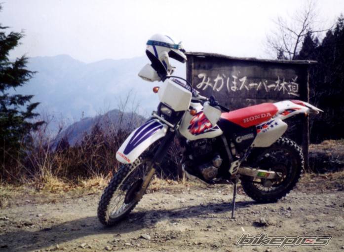 Photo 168548