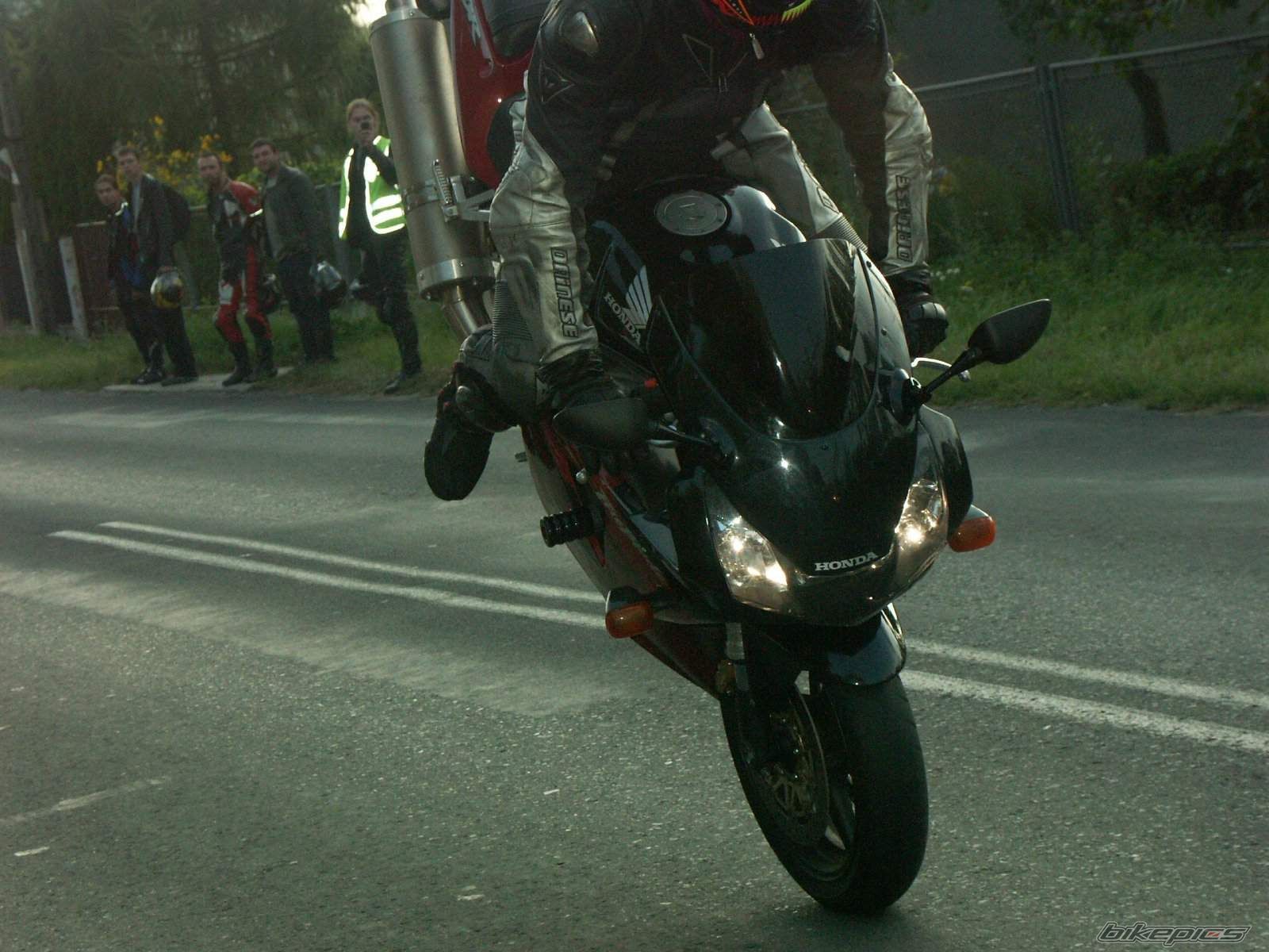 Photo 1685540