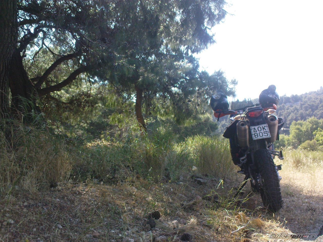 Photo 1685572