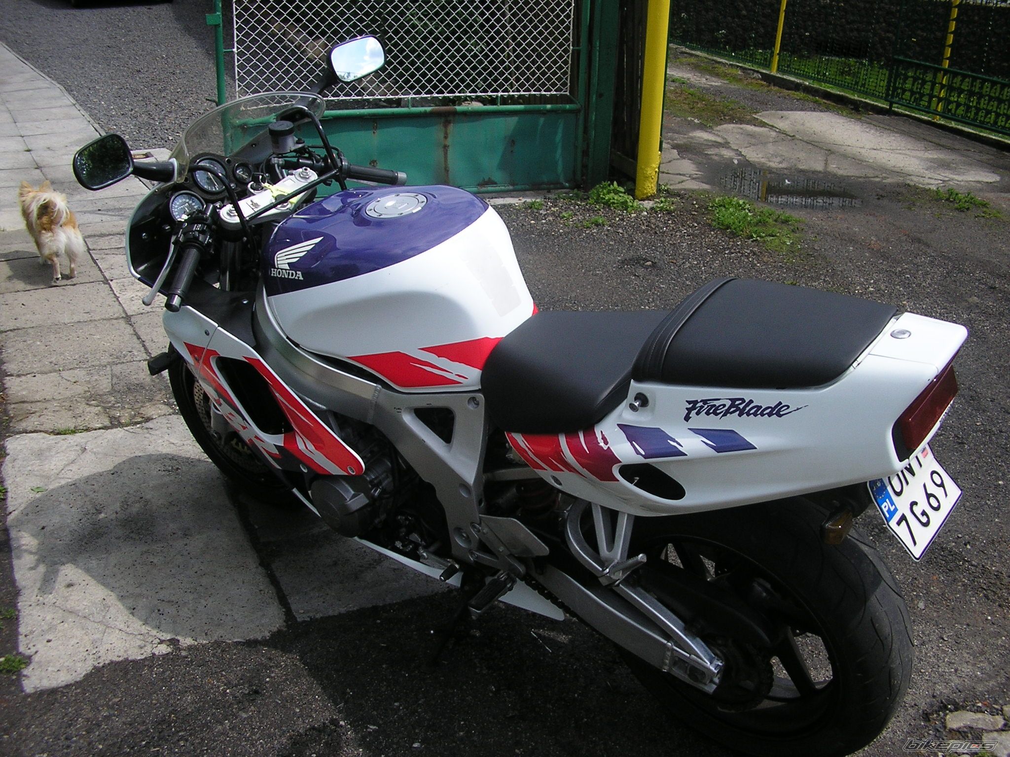 Photo 1685607