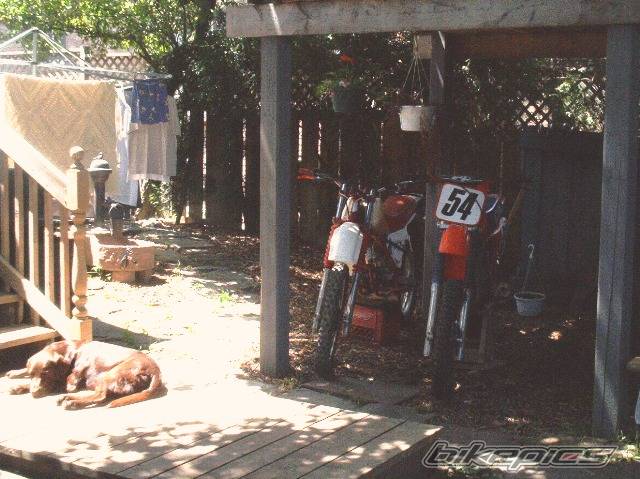 Photo 168565