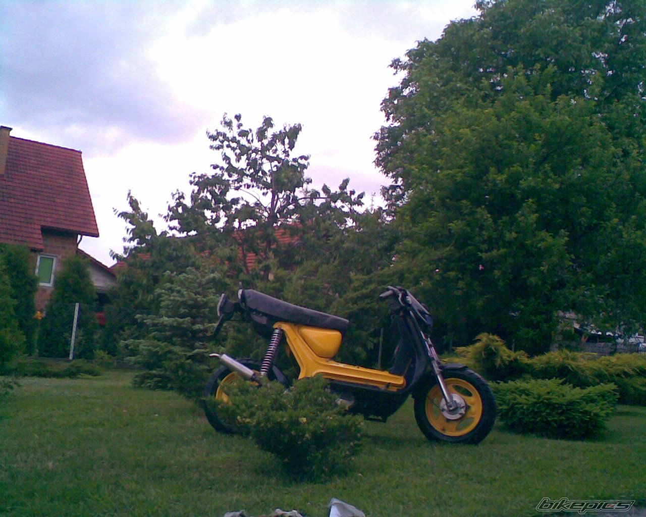 Photo 1685669