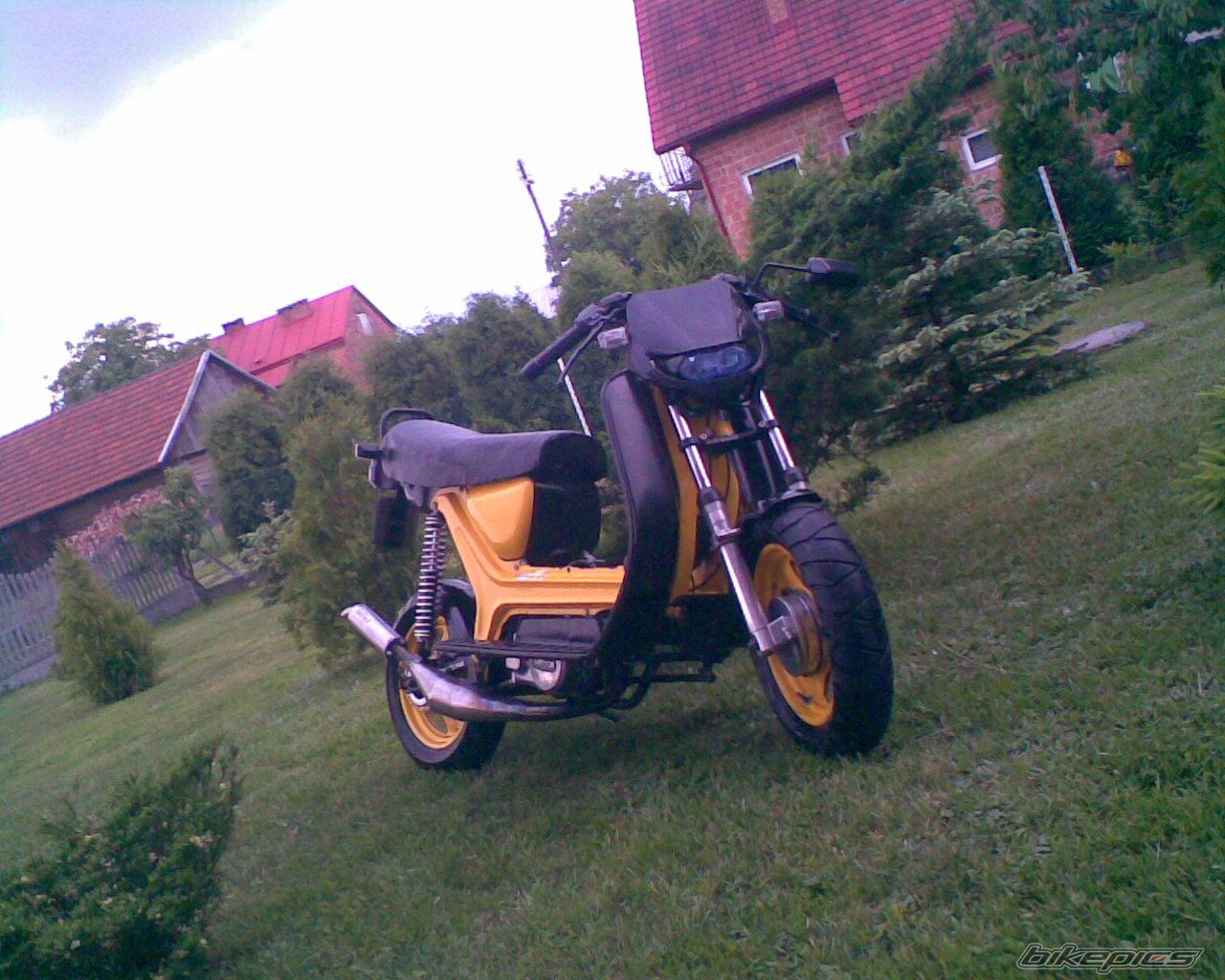 Photo 1685672