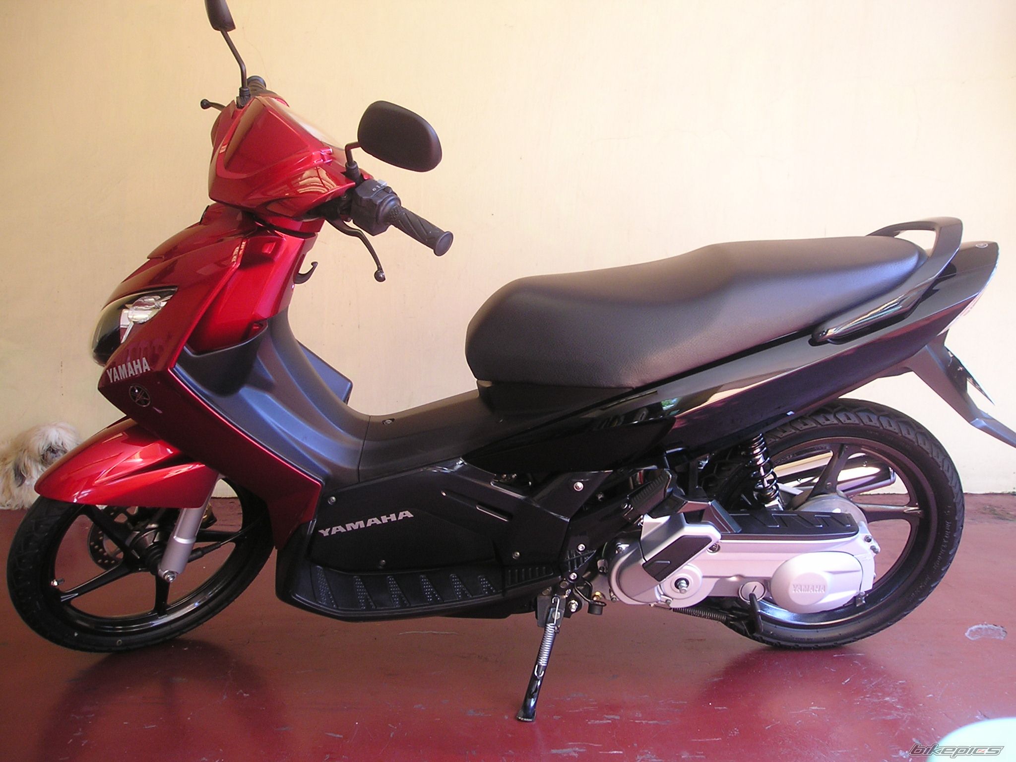Photo 1685678