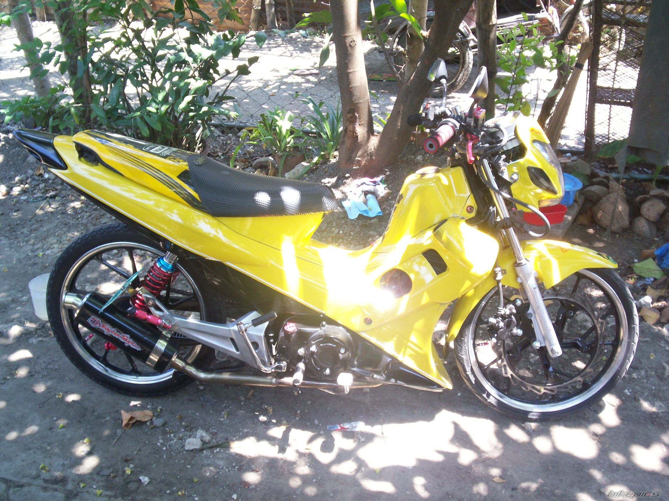 Photo 1685694