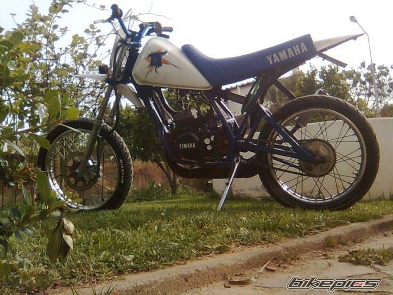 Photo 1685786