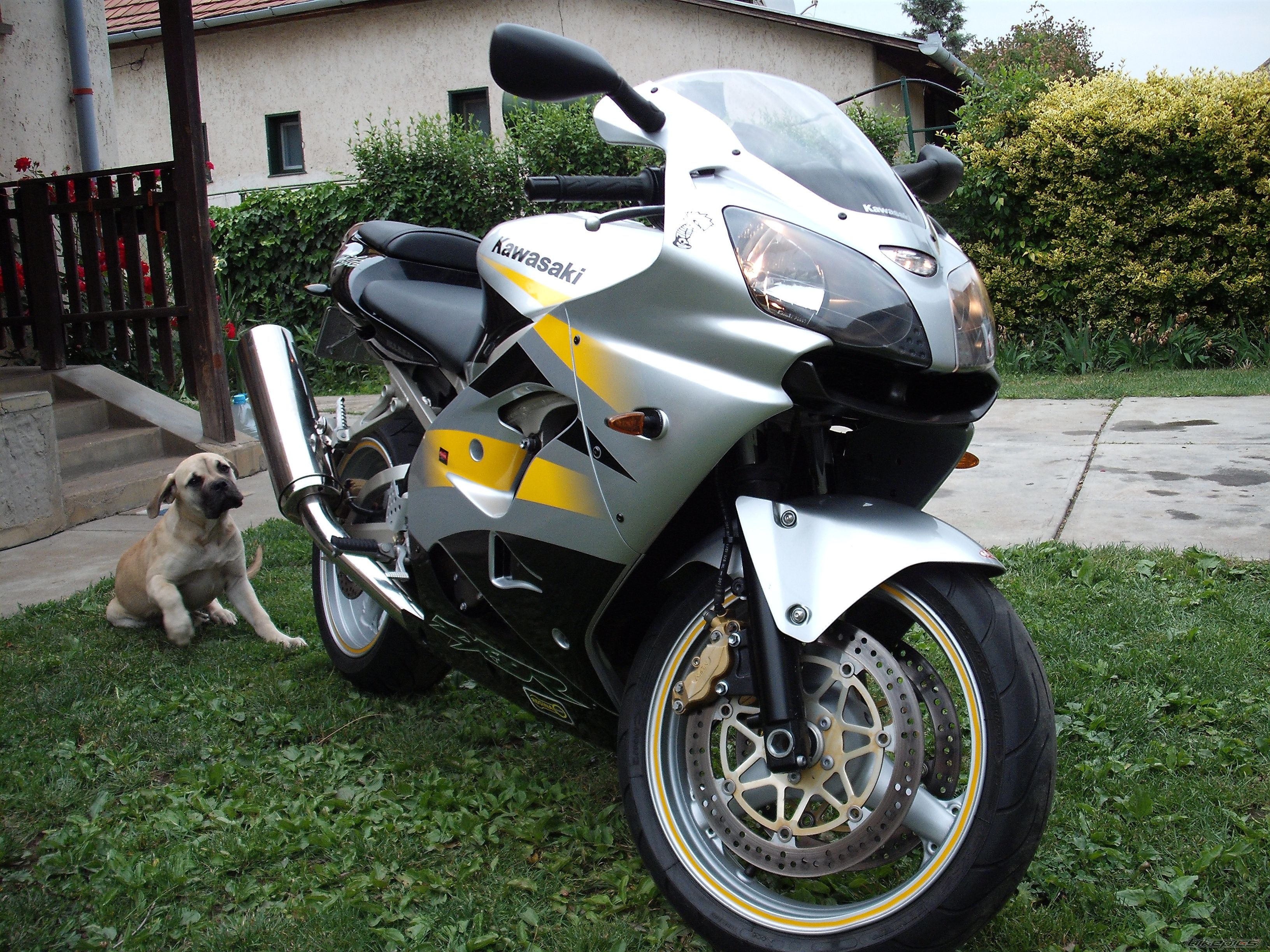 Photo 1685864