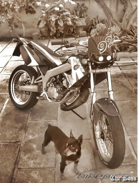 Photo 1685903