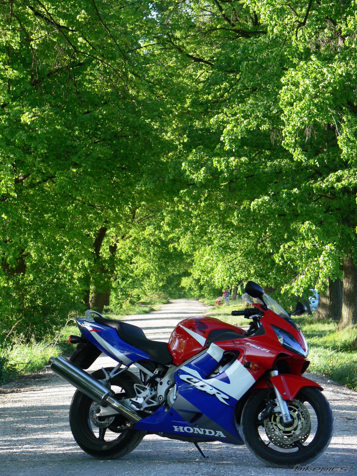 Bike Photo 1685907